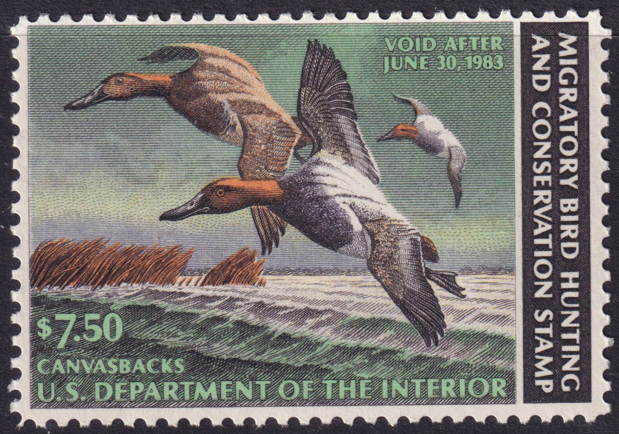 Stamp Picture
