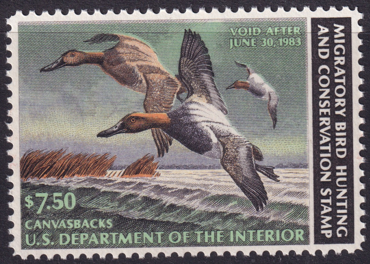 Stamp Picture