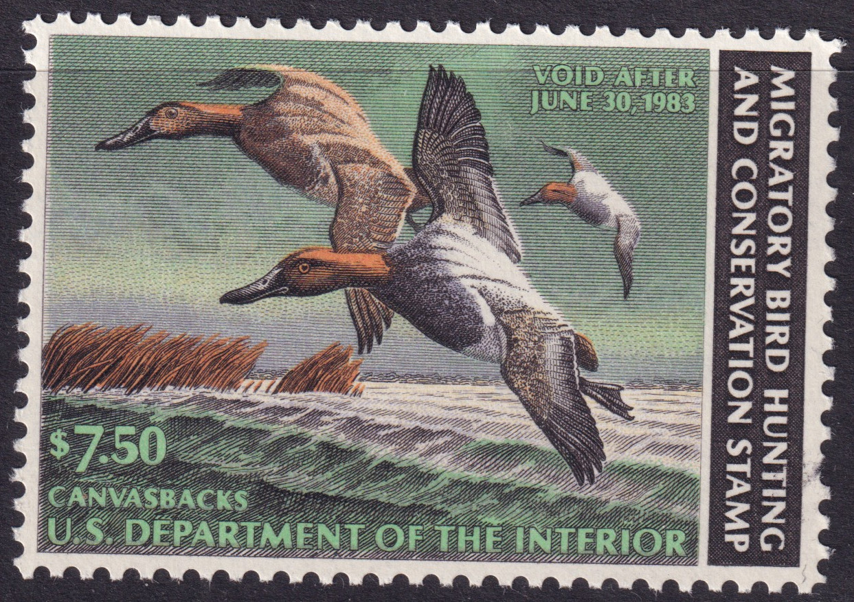 Stamp Picture