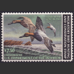 Picture of Lot #55406