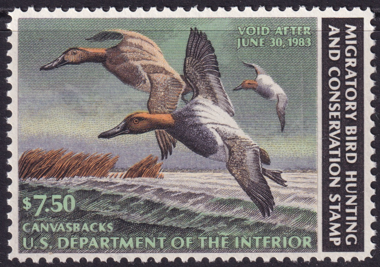 Stamp Picture