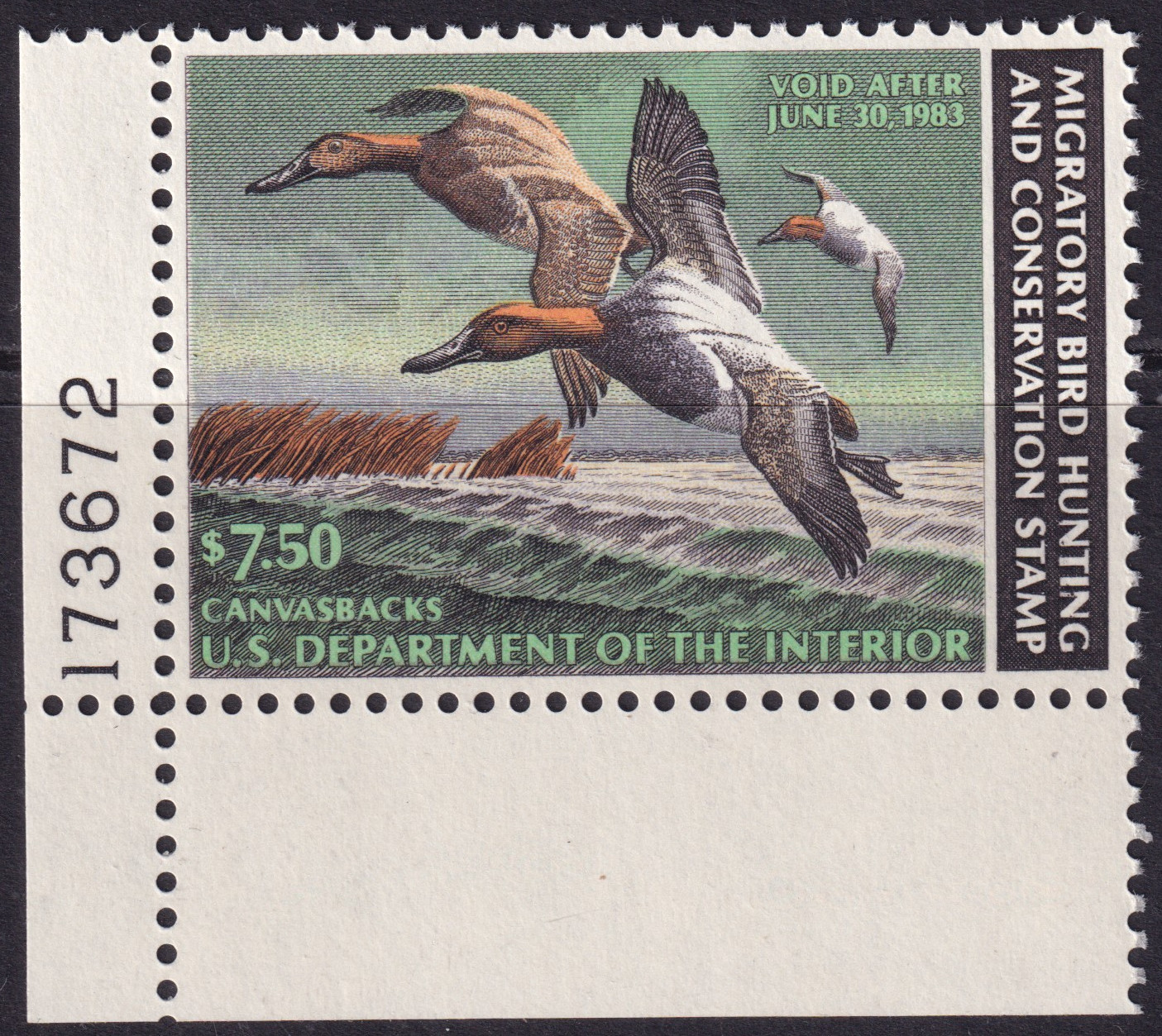 Stamp Picture