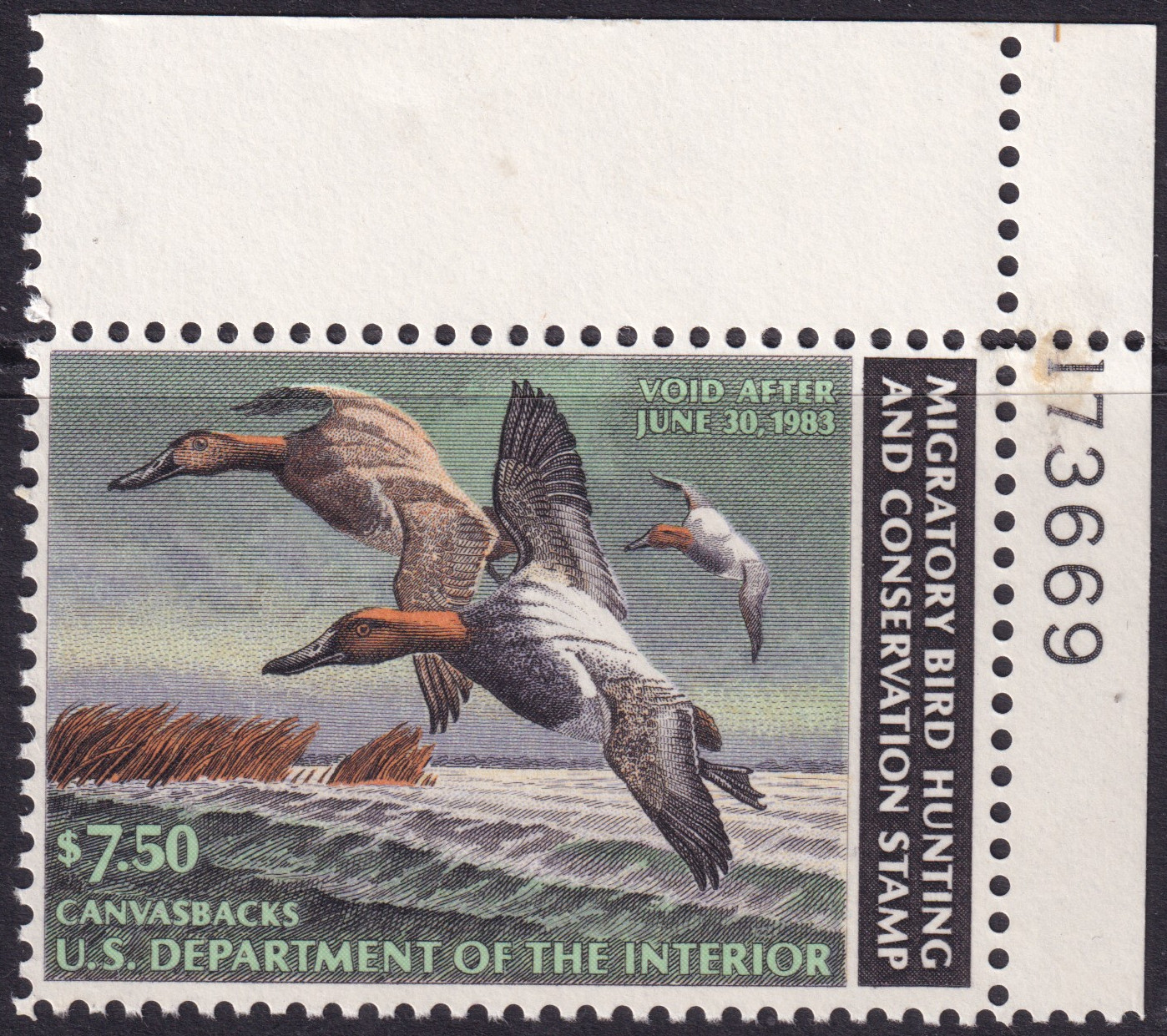 Stamp Picture