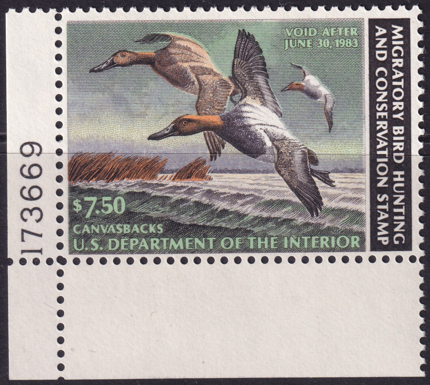 Stamp Picture