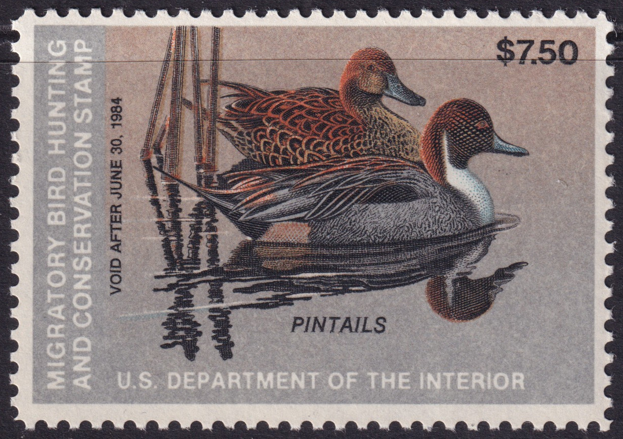 Stamp Picture