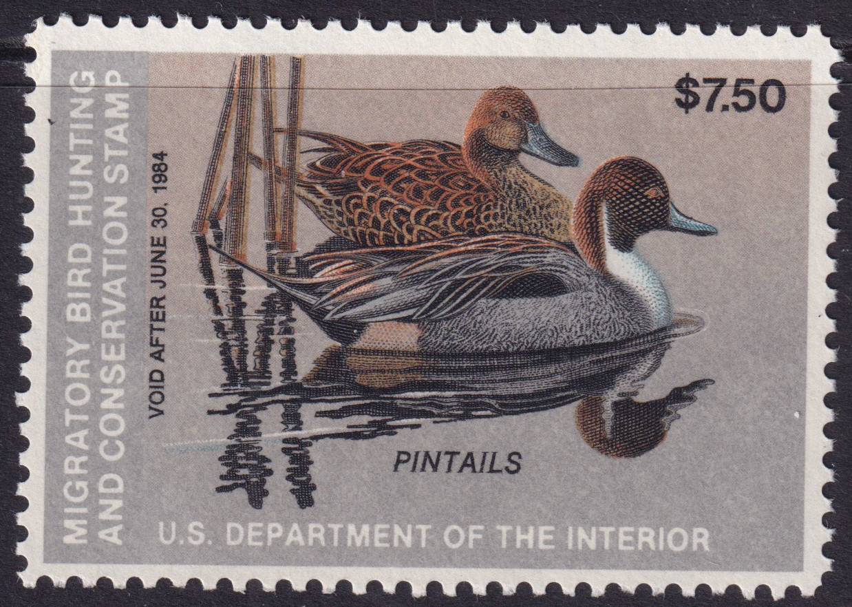 Stamp Picture