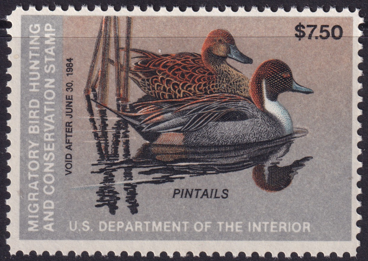 Stamp Picture