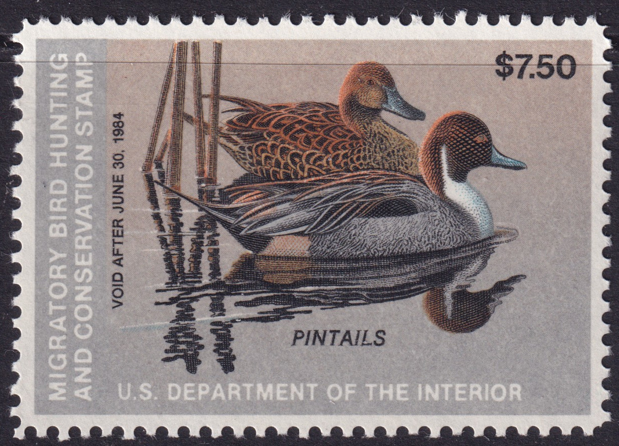 Stamp Picture