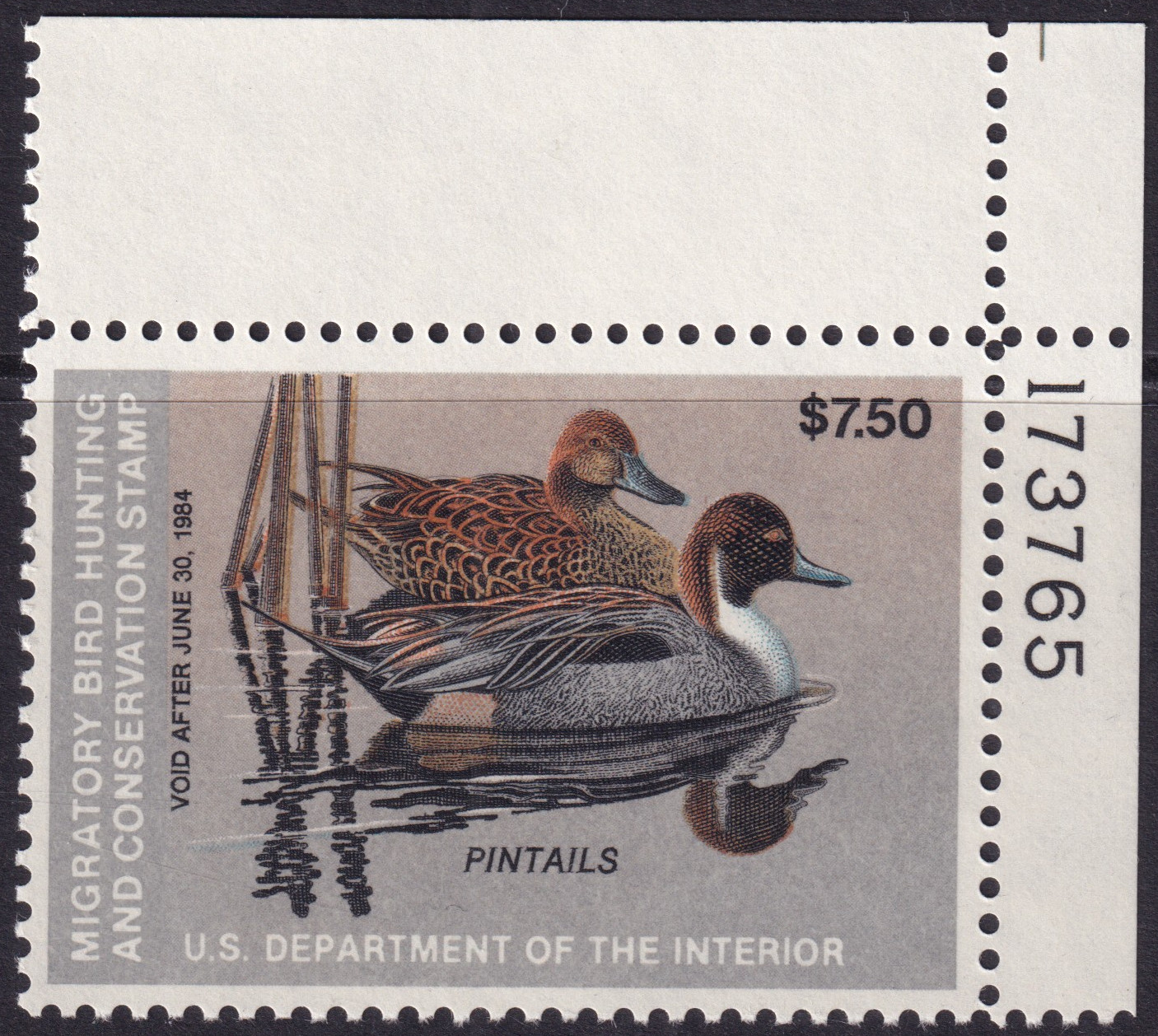 Stamp Picture