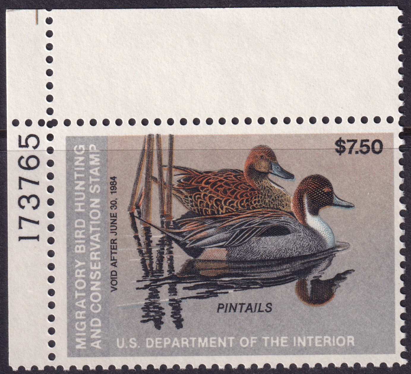 Stamp Picture