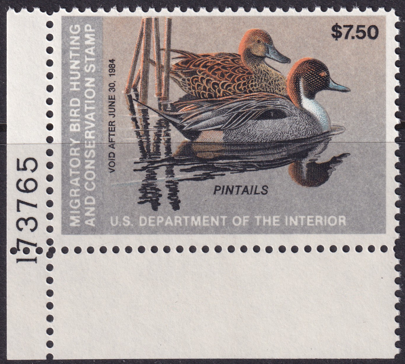 Stamp Picture