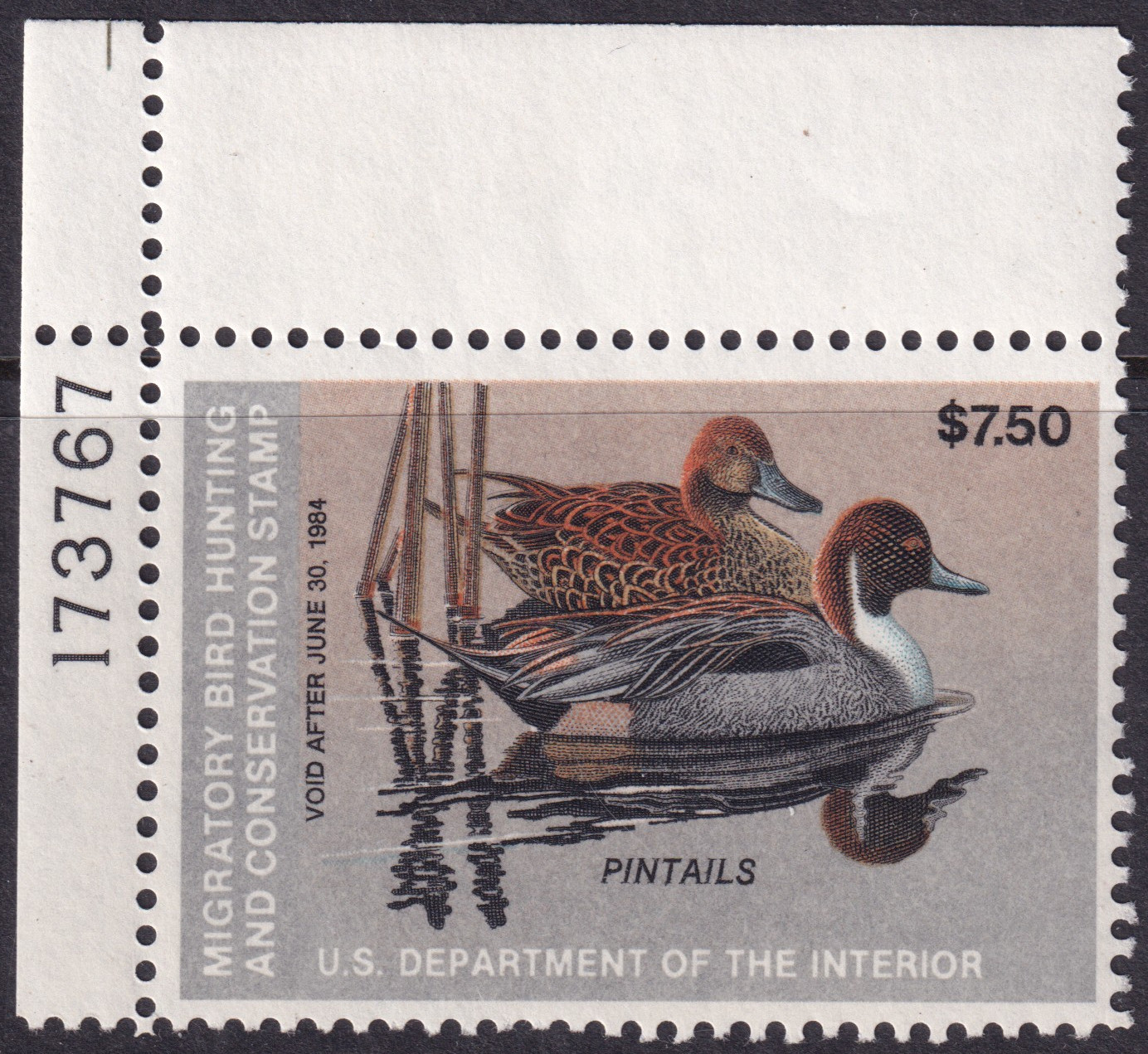 Stamp Picture