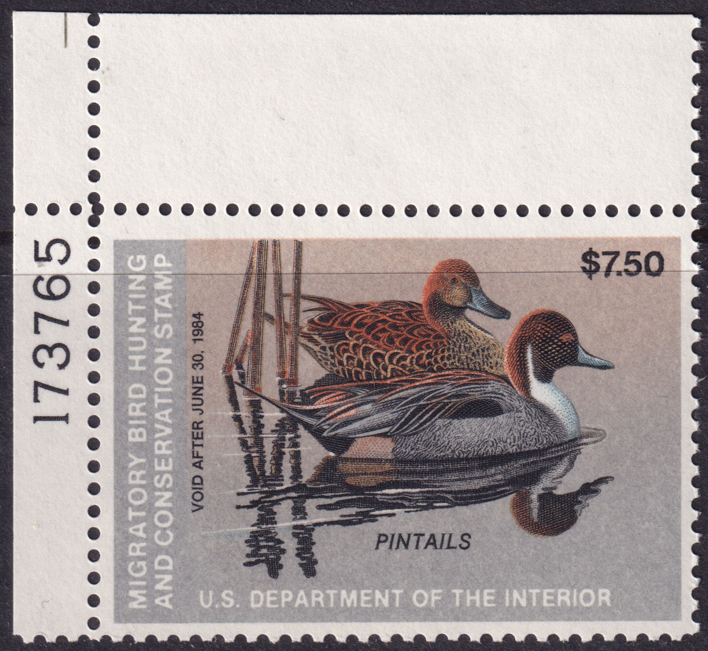 Stamp Picture