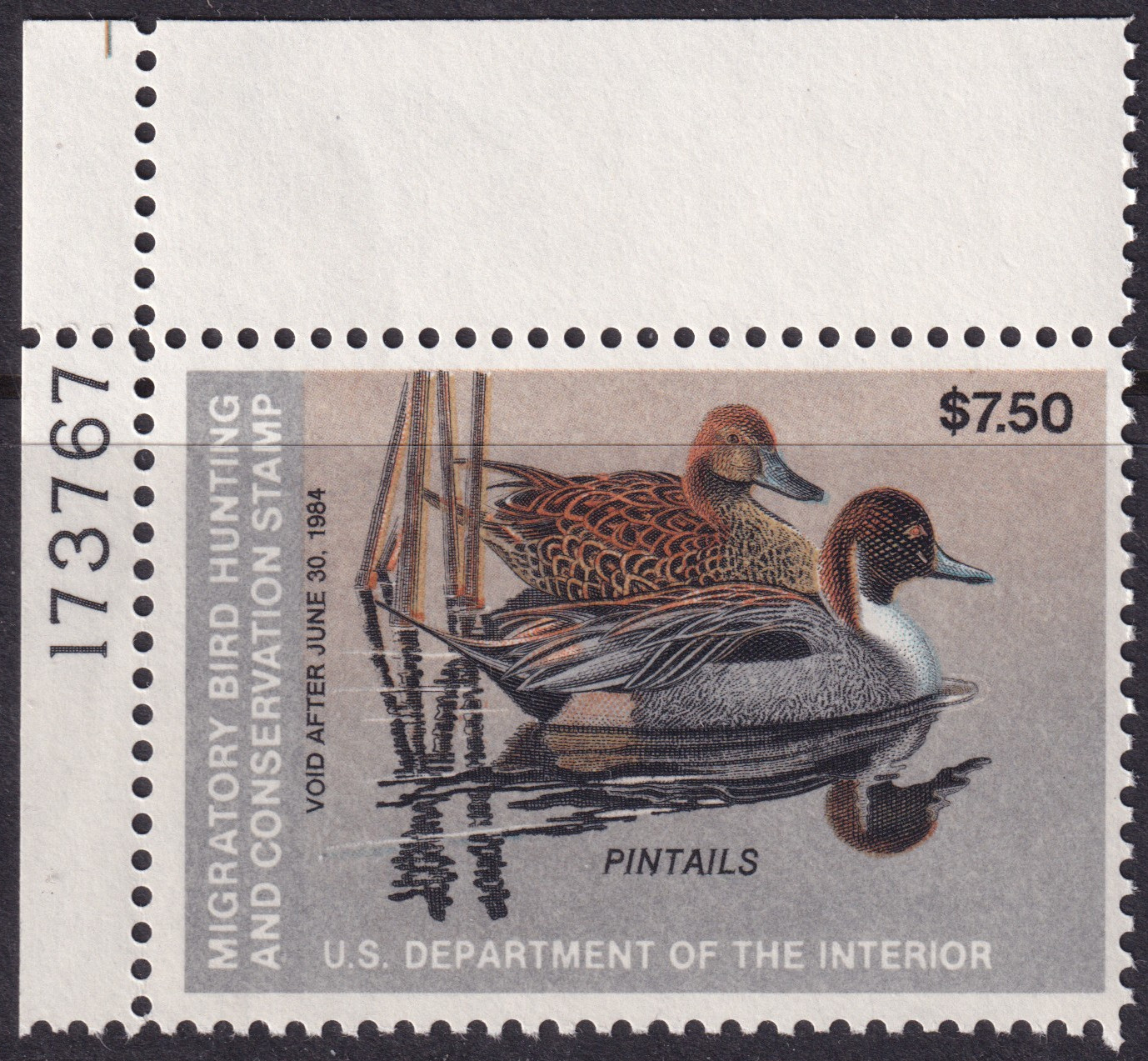 Stamp Picture
