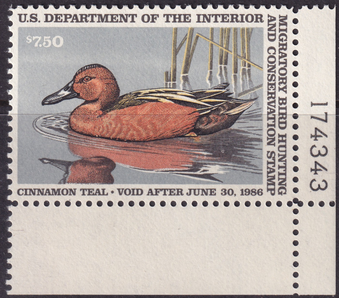 Stamp Picture