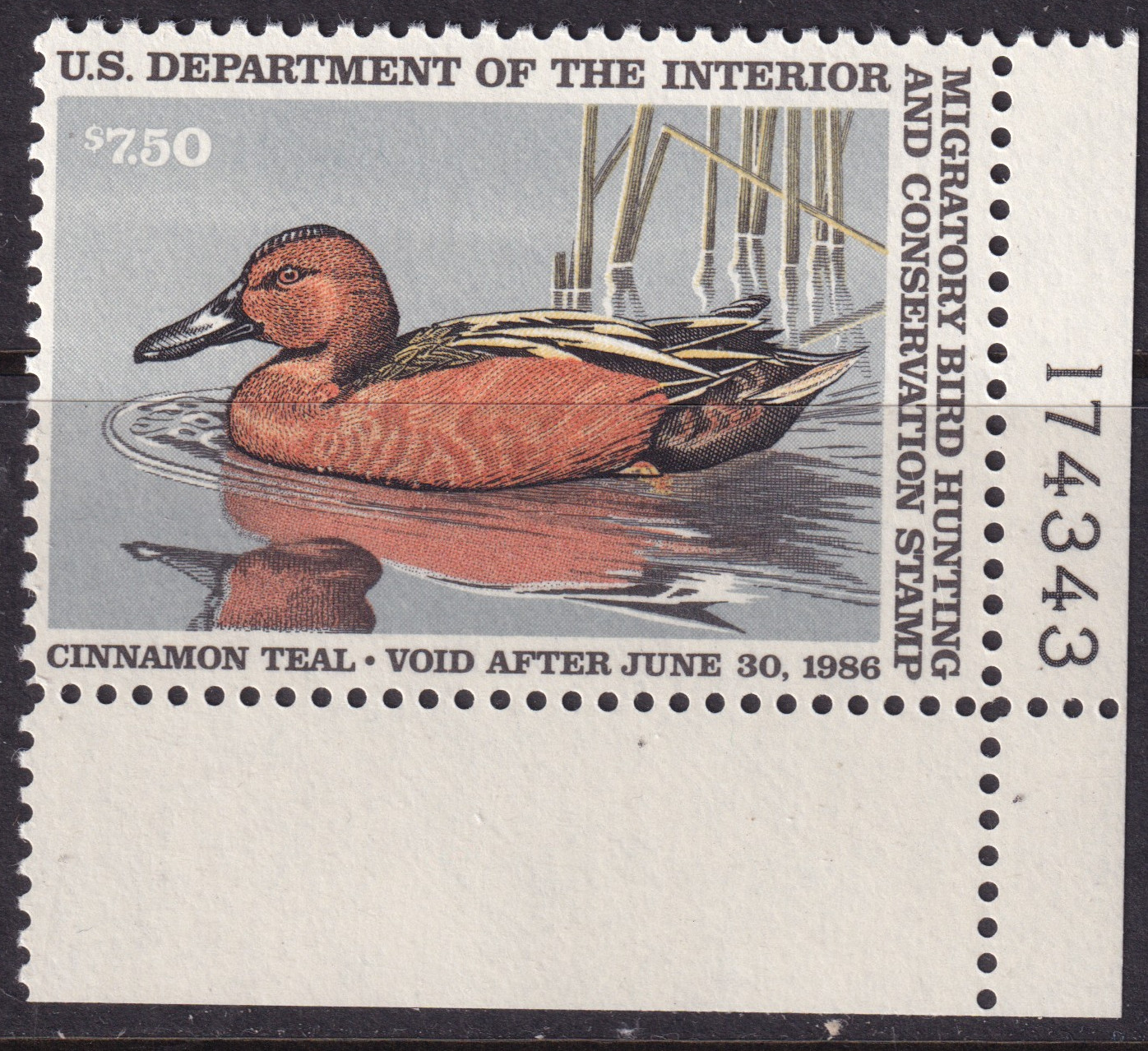 Stamp Picture