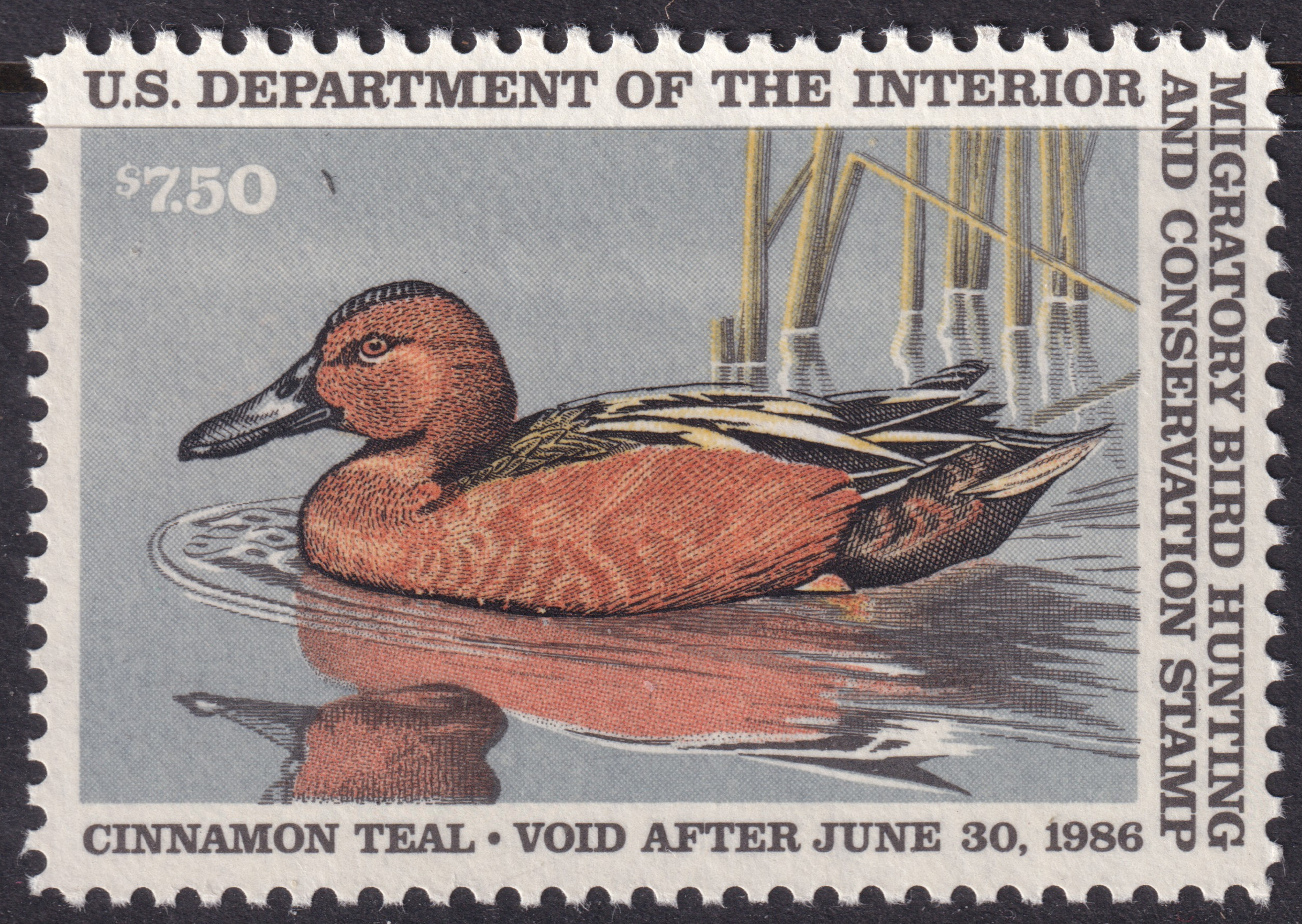 Stamp Picture