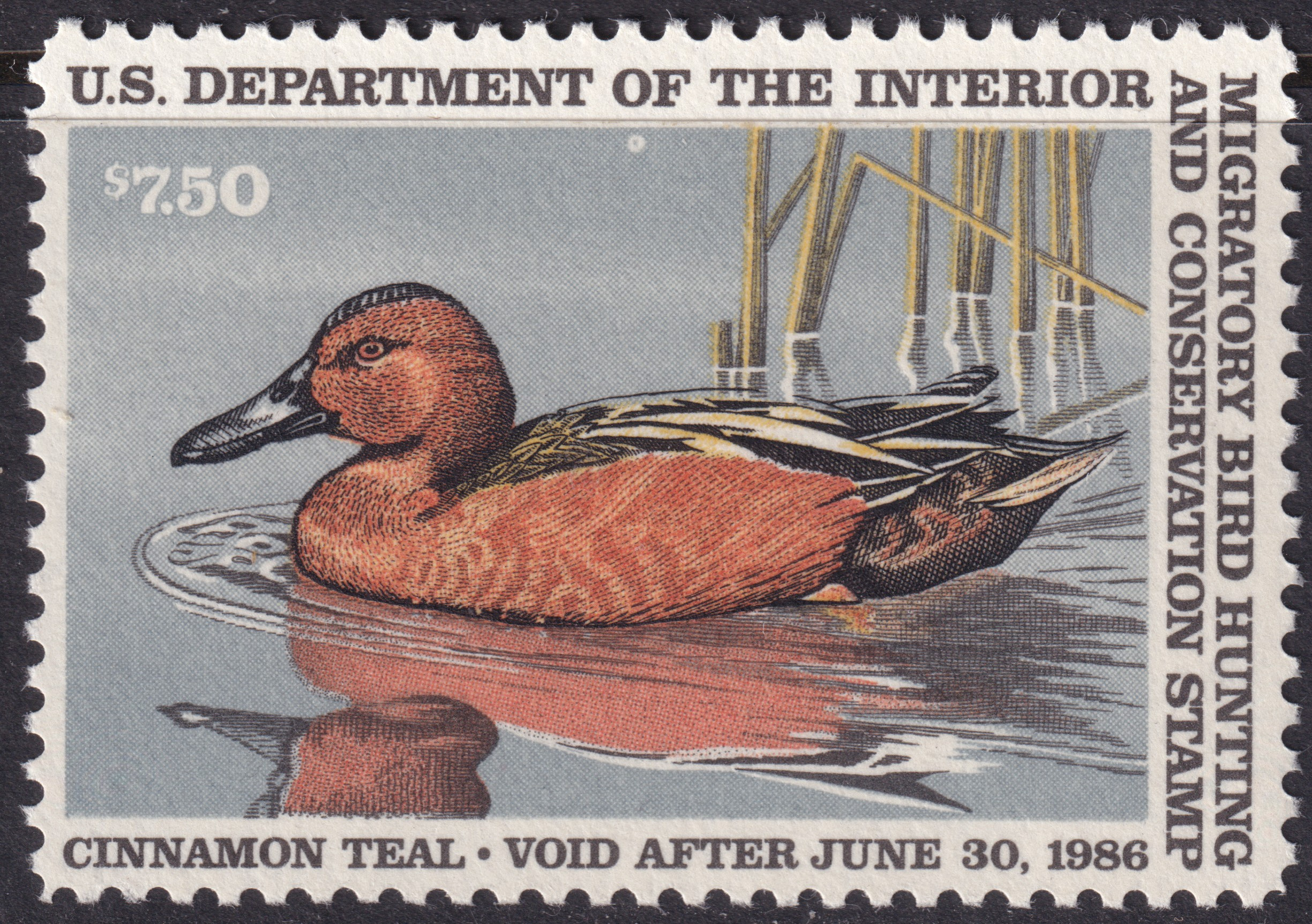 Stamp Picture