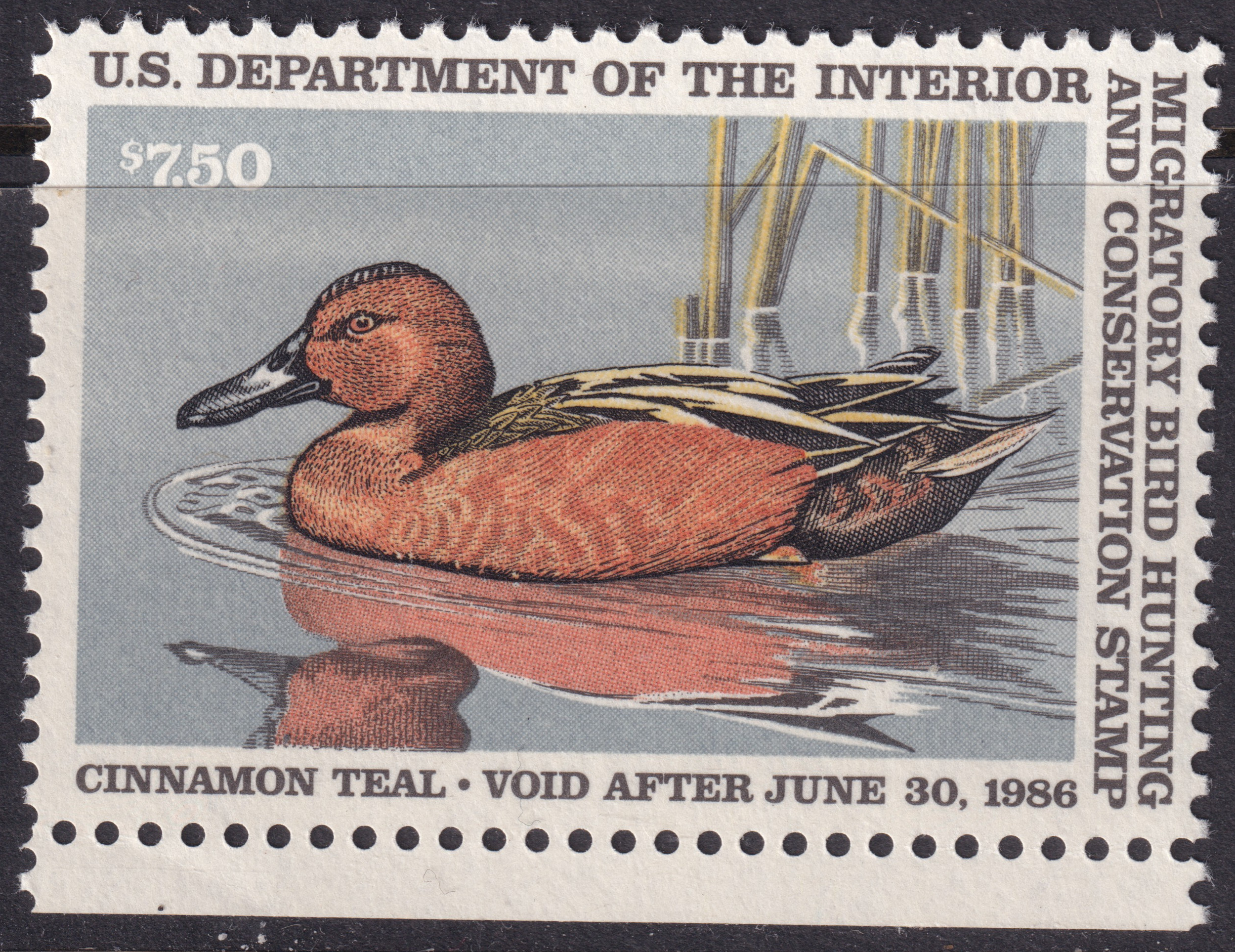 Stamp Picture