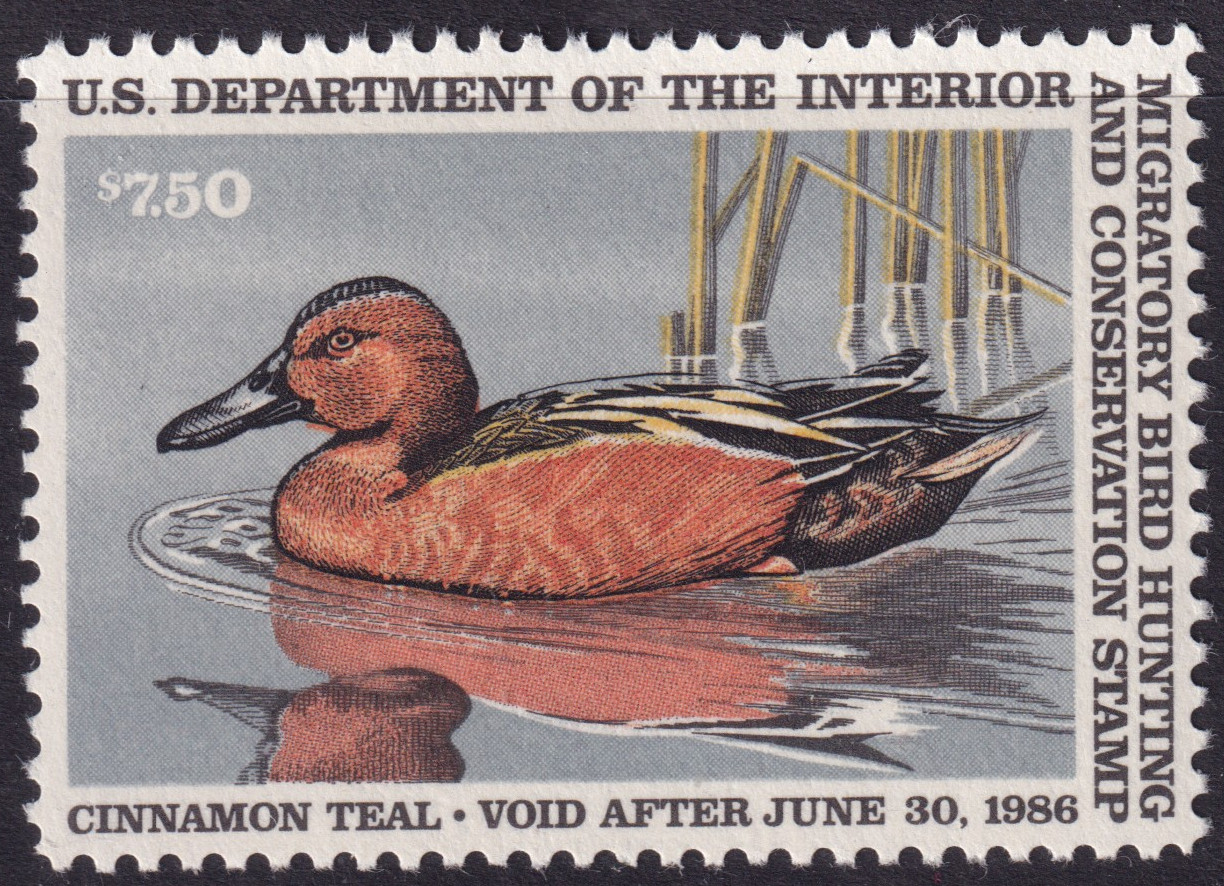 Stamp Picture