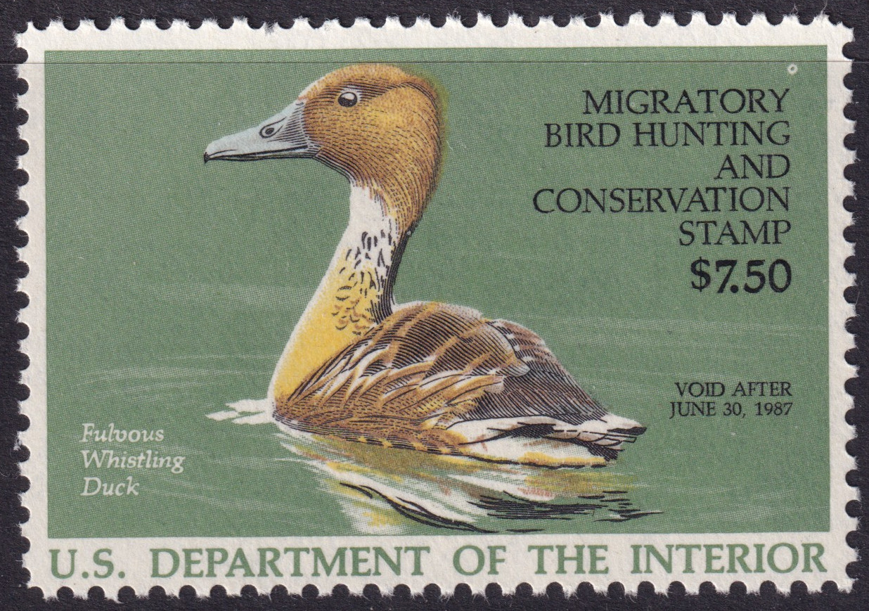 Stamp Picture