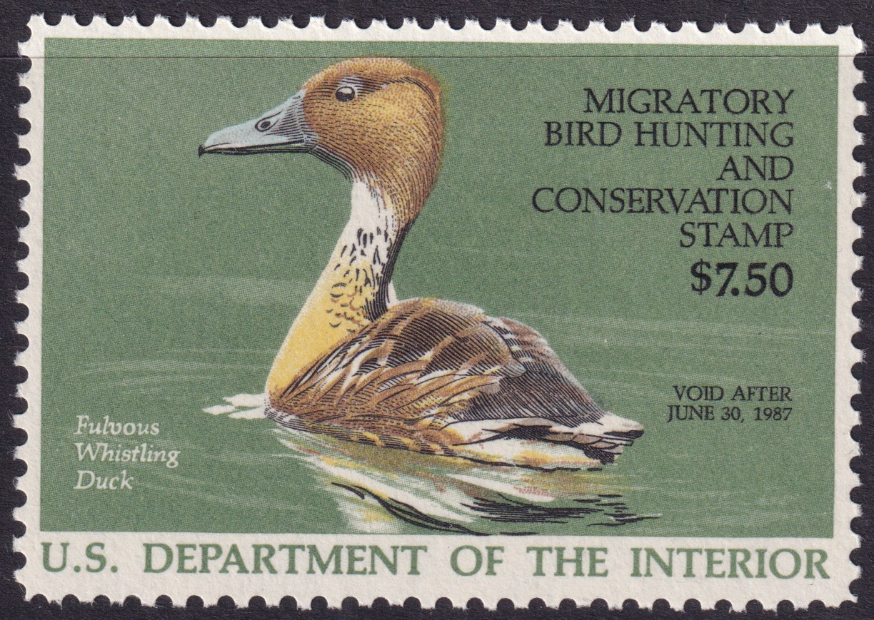 Stamp Picture