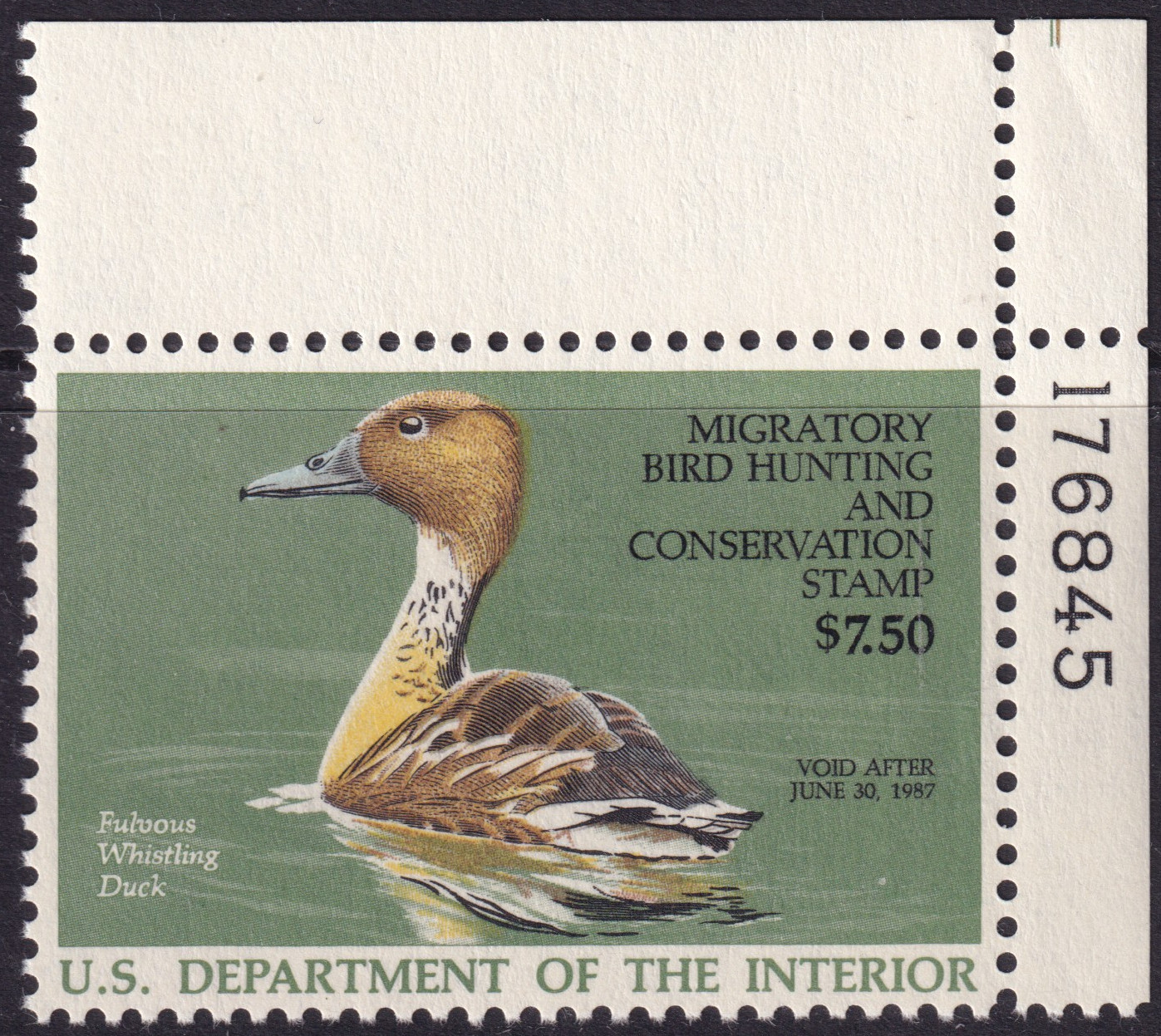 Stamp Picture