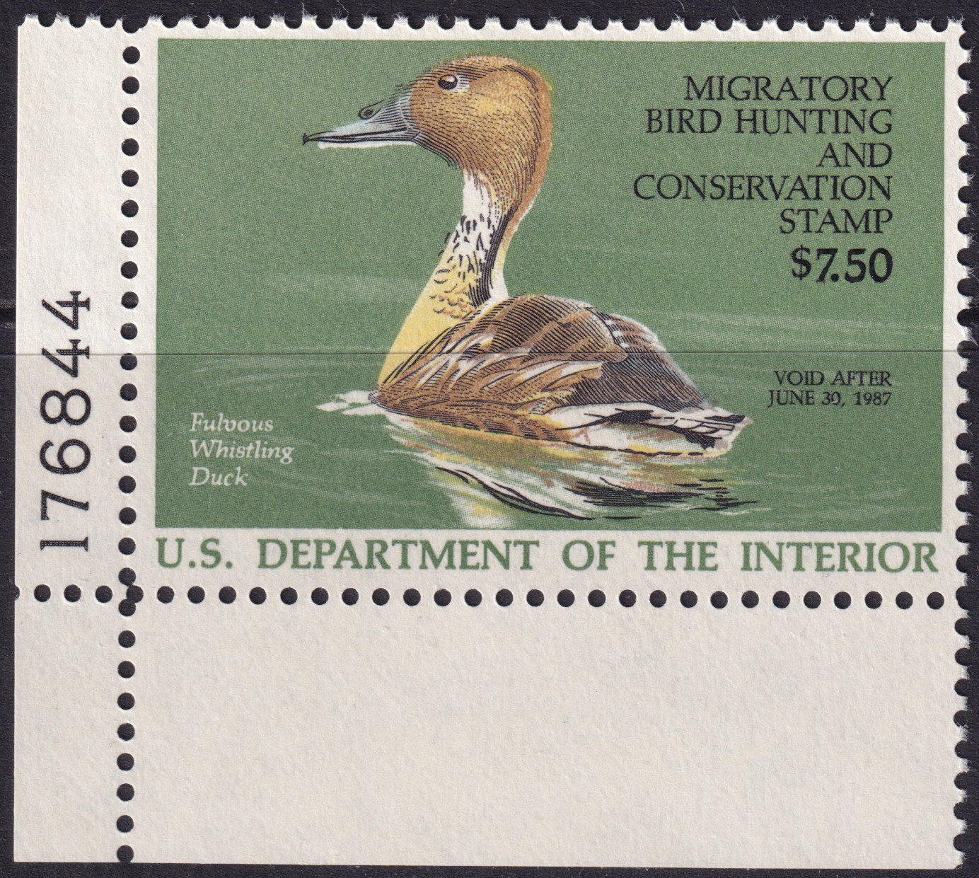 Stamp Picture
