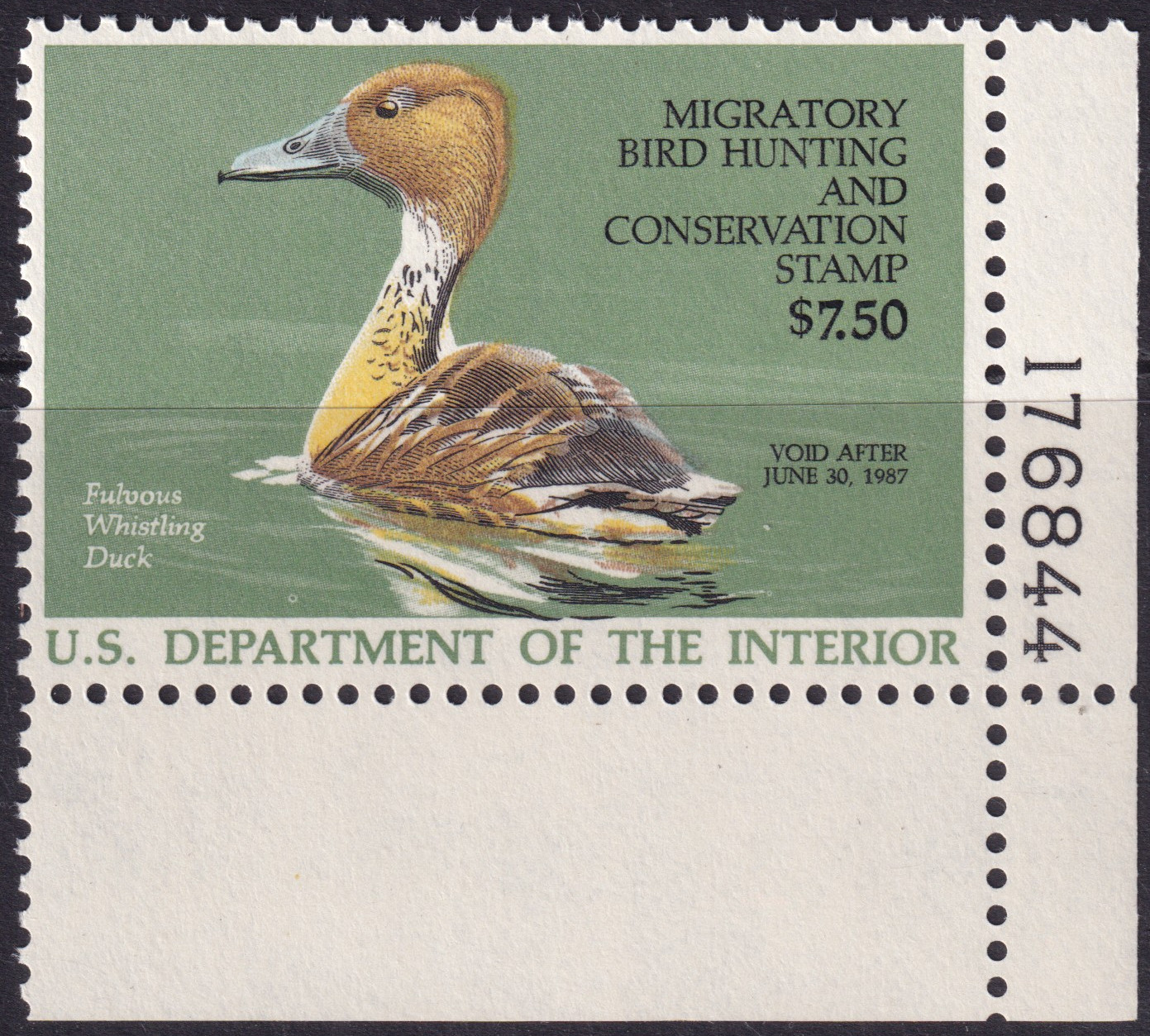 Stamp Picture