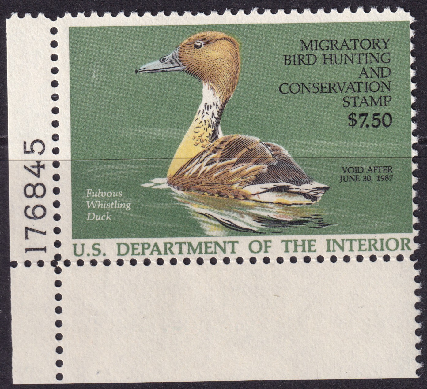 Stamp Picture