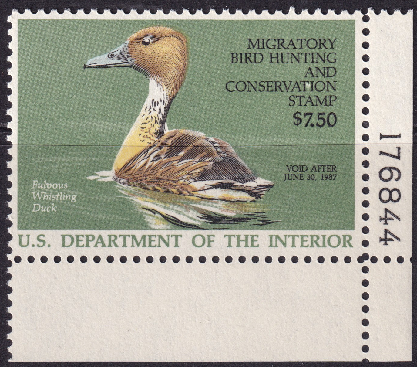 Stamp Picture
