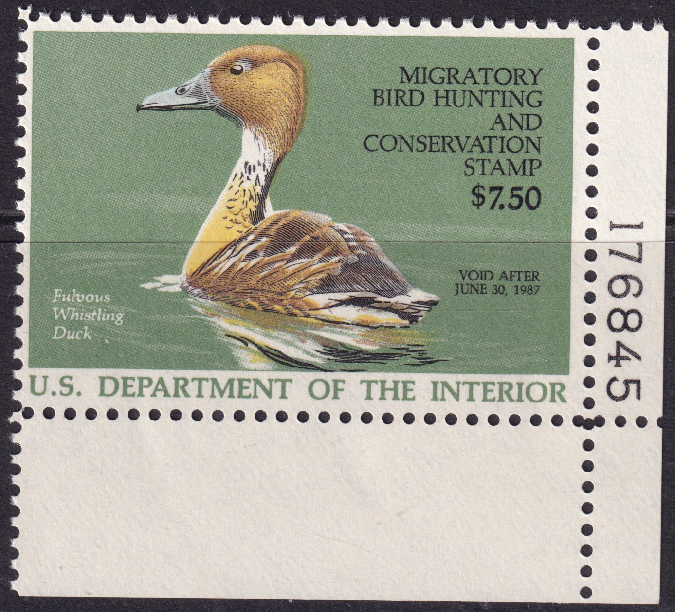 Stamp Picture