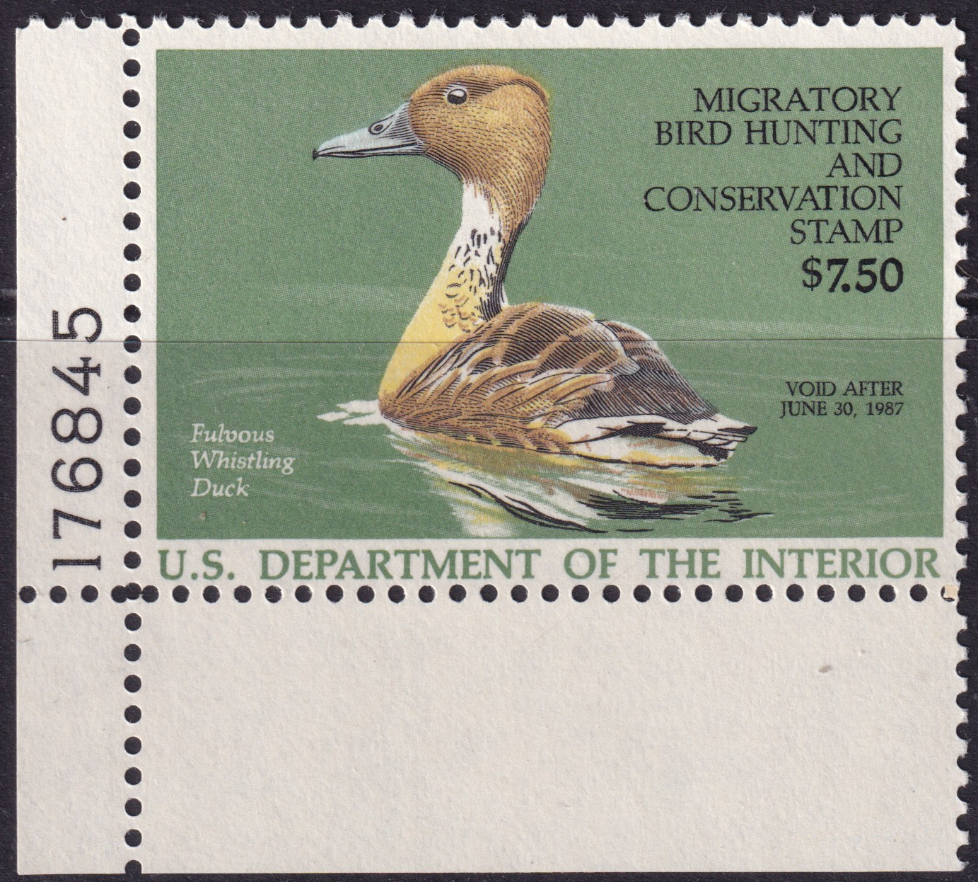 Stamp Picture