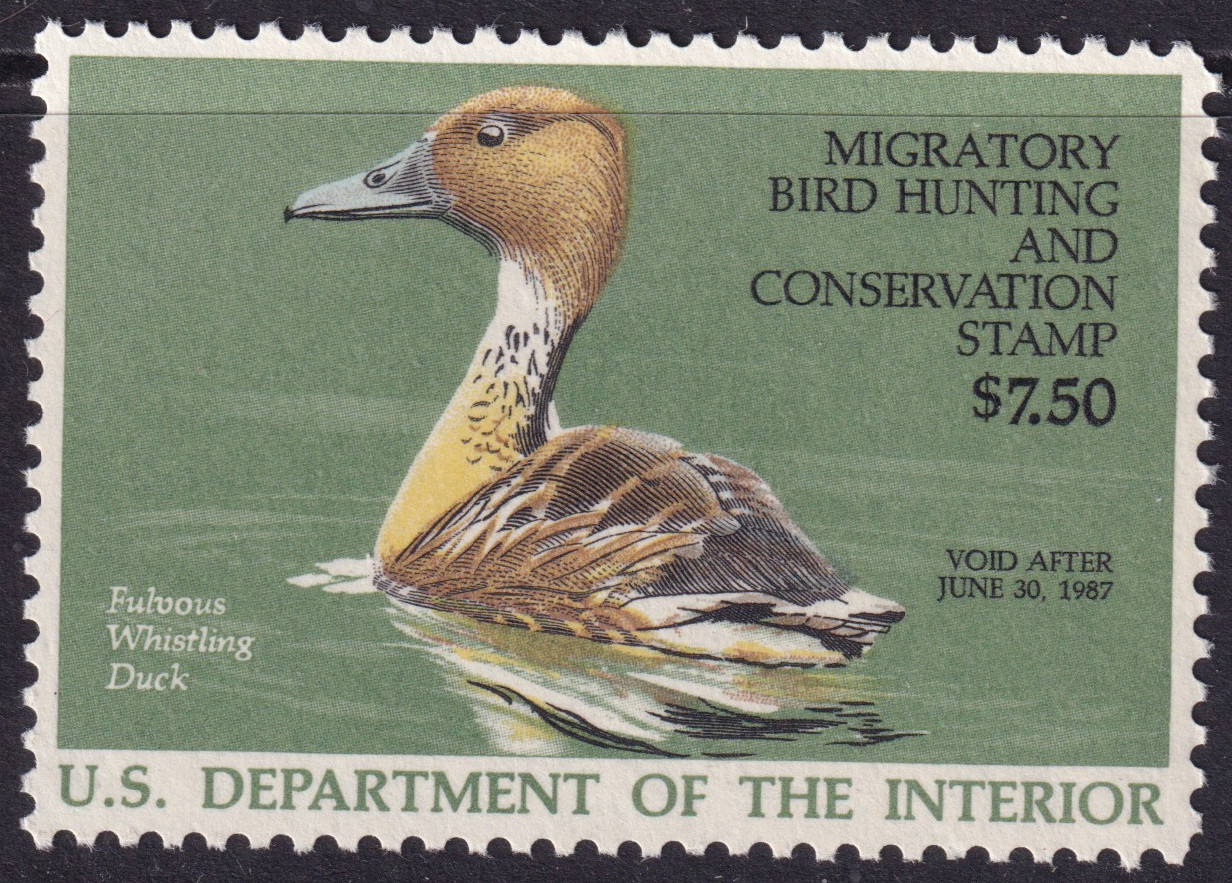 Stamp Picture