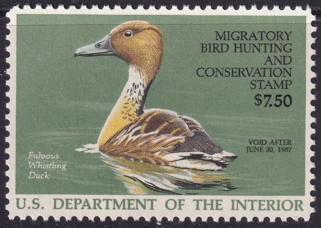 Stamp Picture