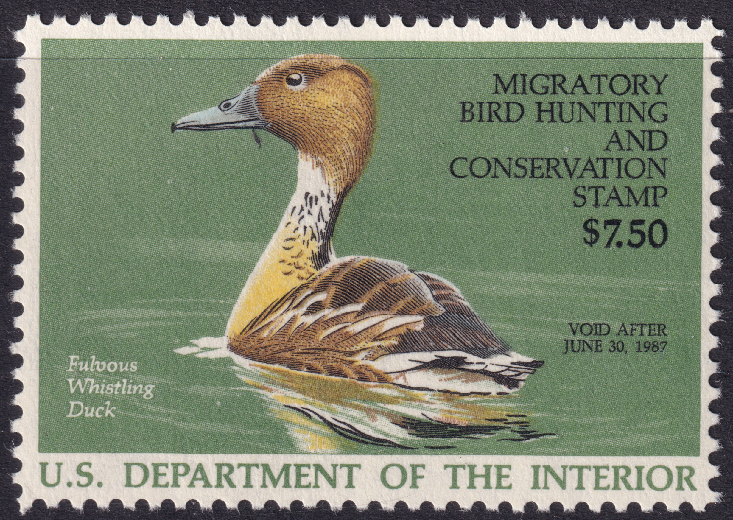 Stamp Picture
