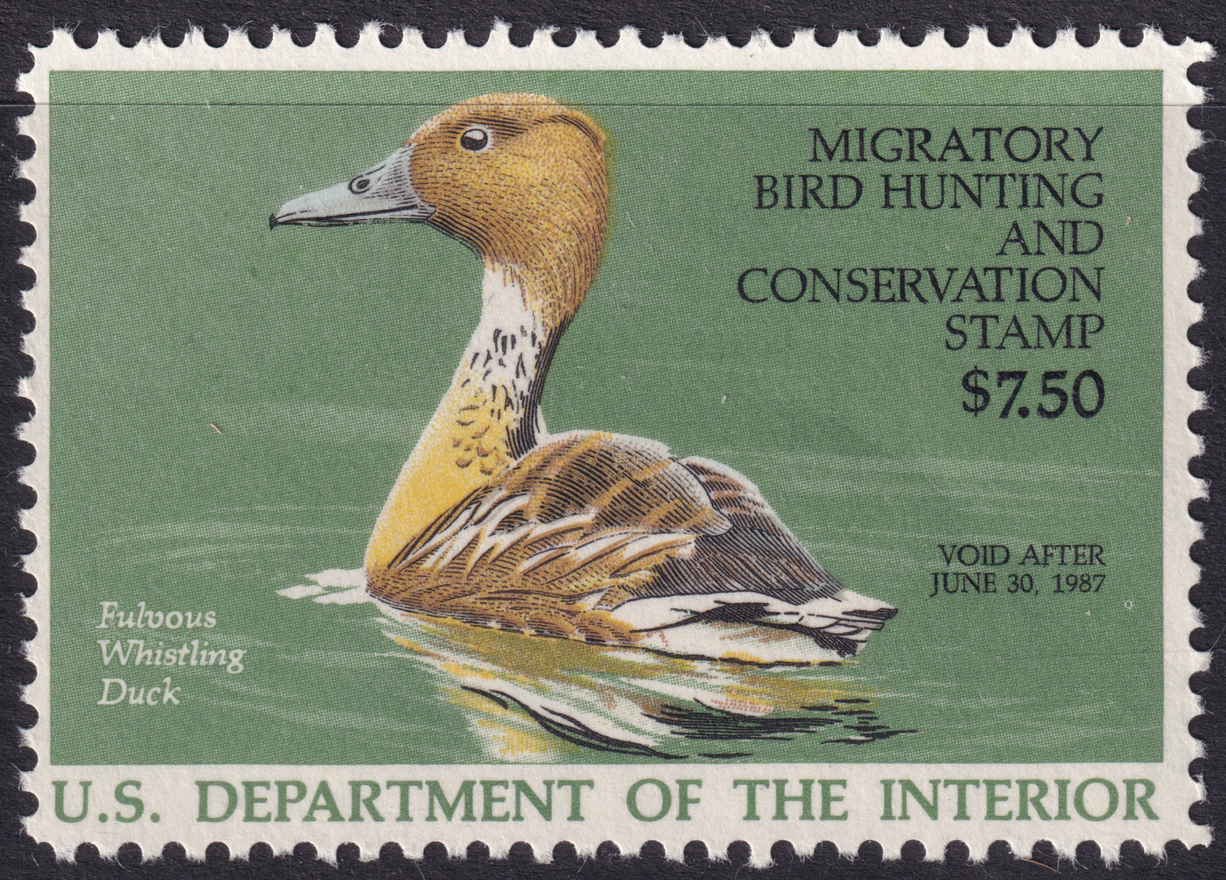 Stamp Picture