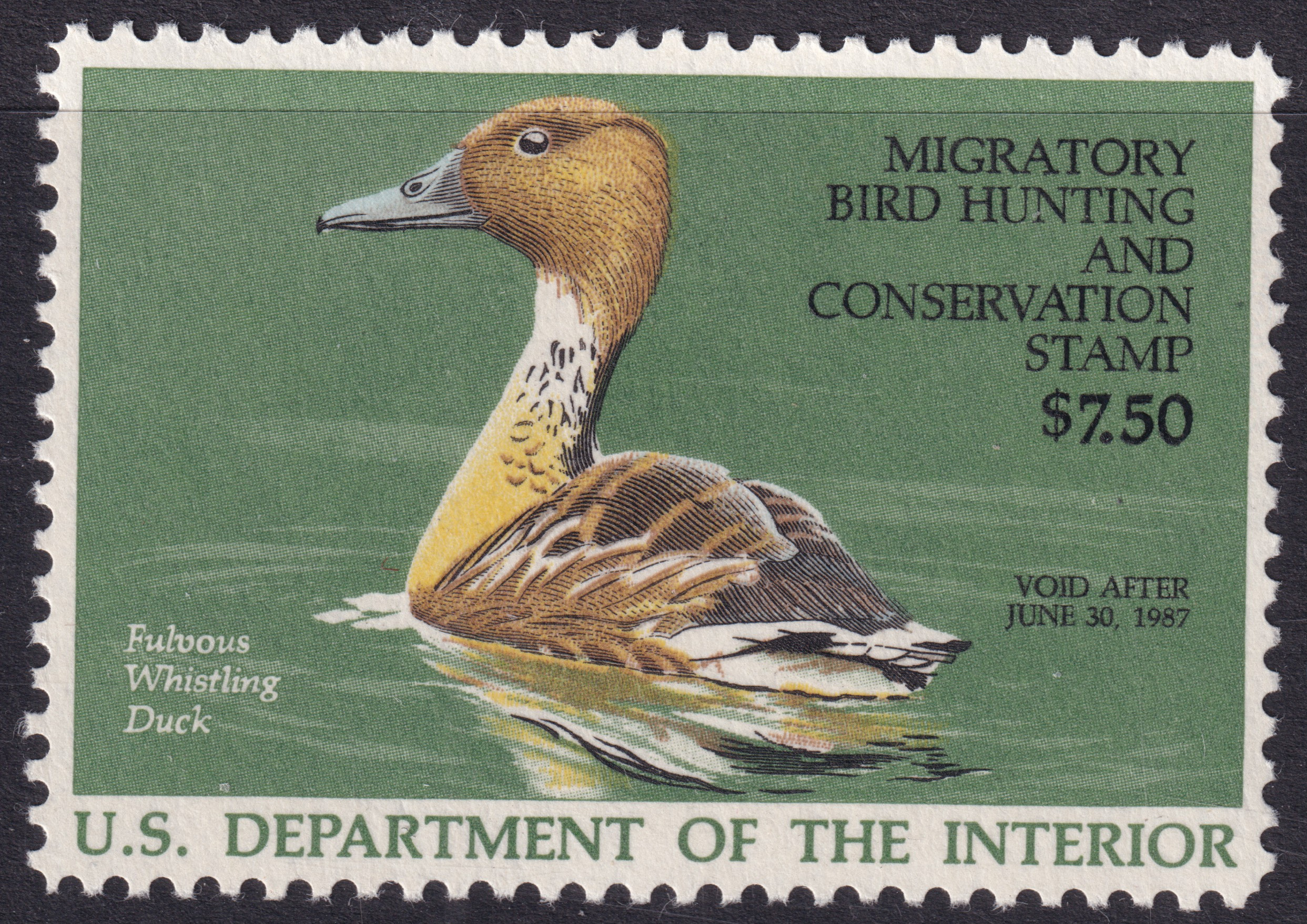 Stamp Picture