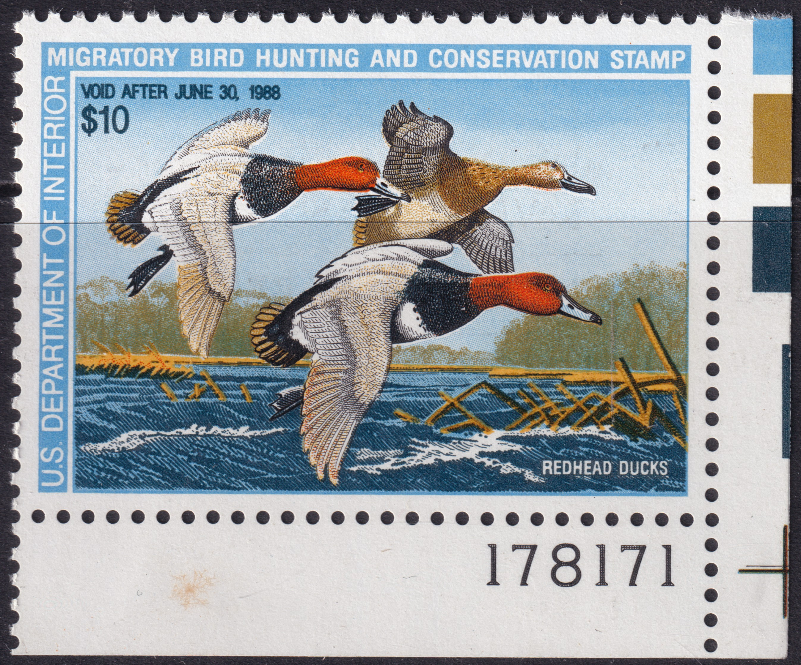 Stamp Picture