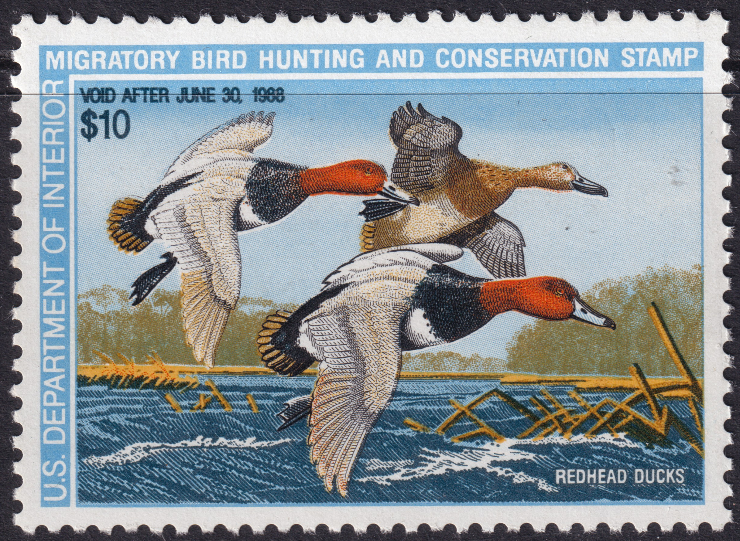 Stamp Picture