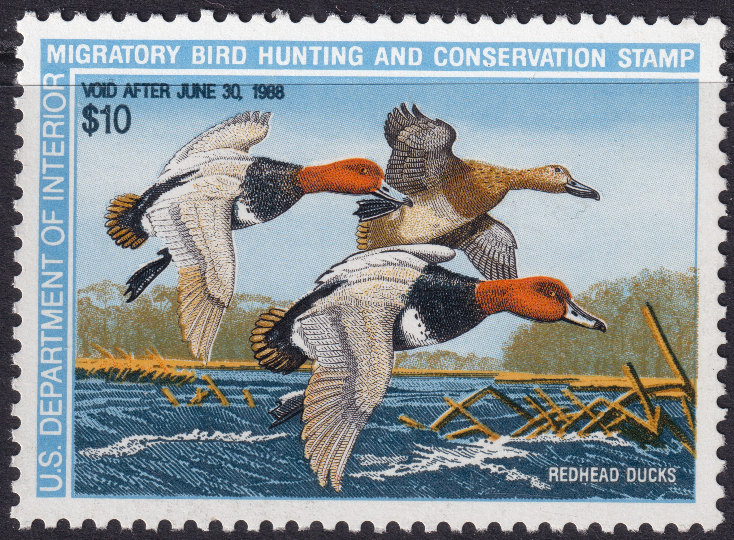 Stamp Picture