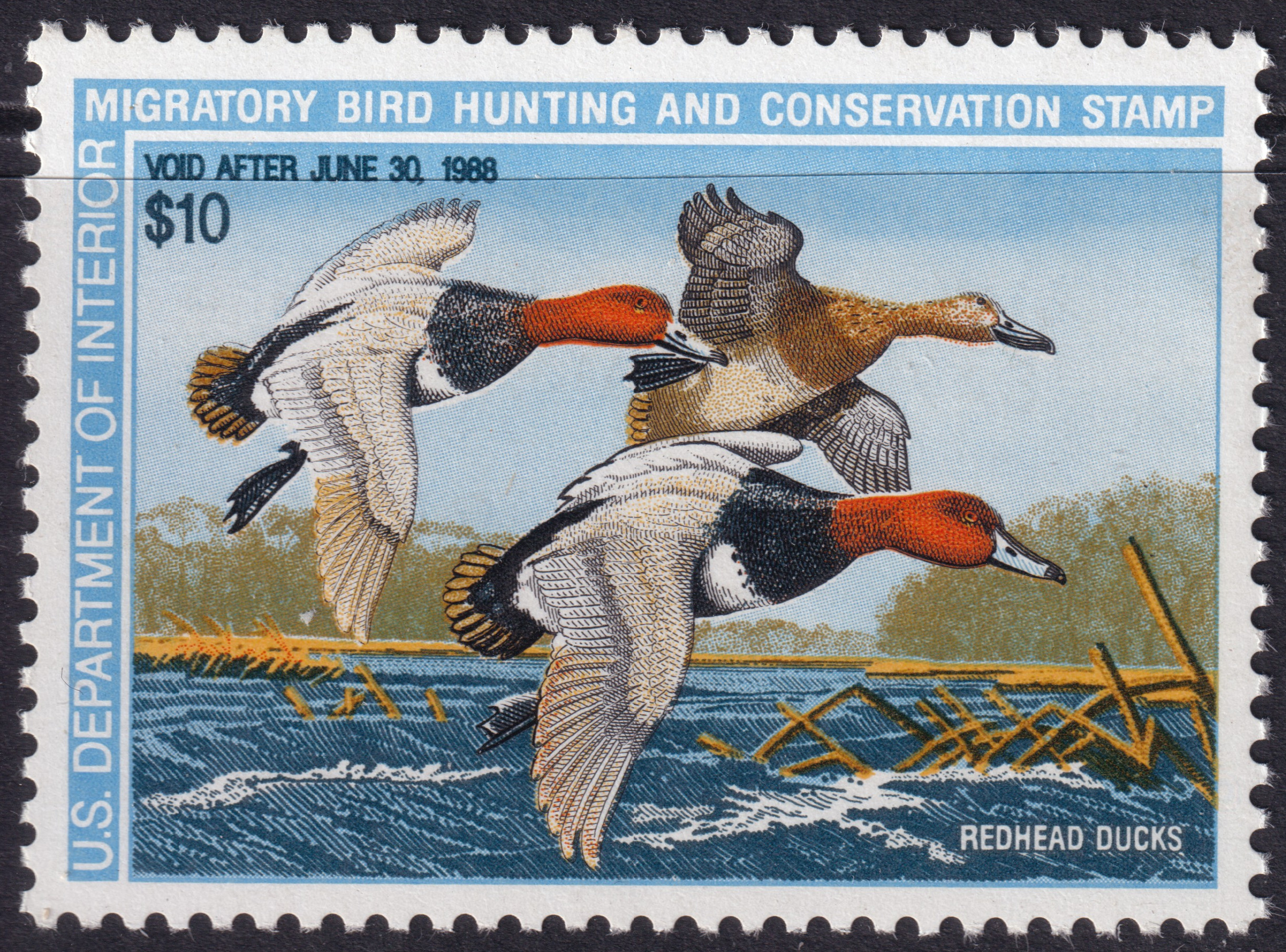 Stamp Picture