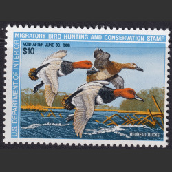Picture of Lot #55461