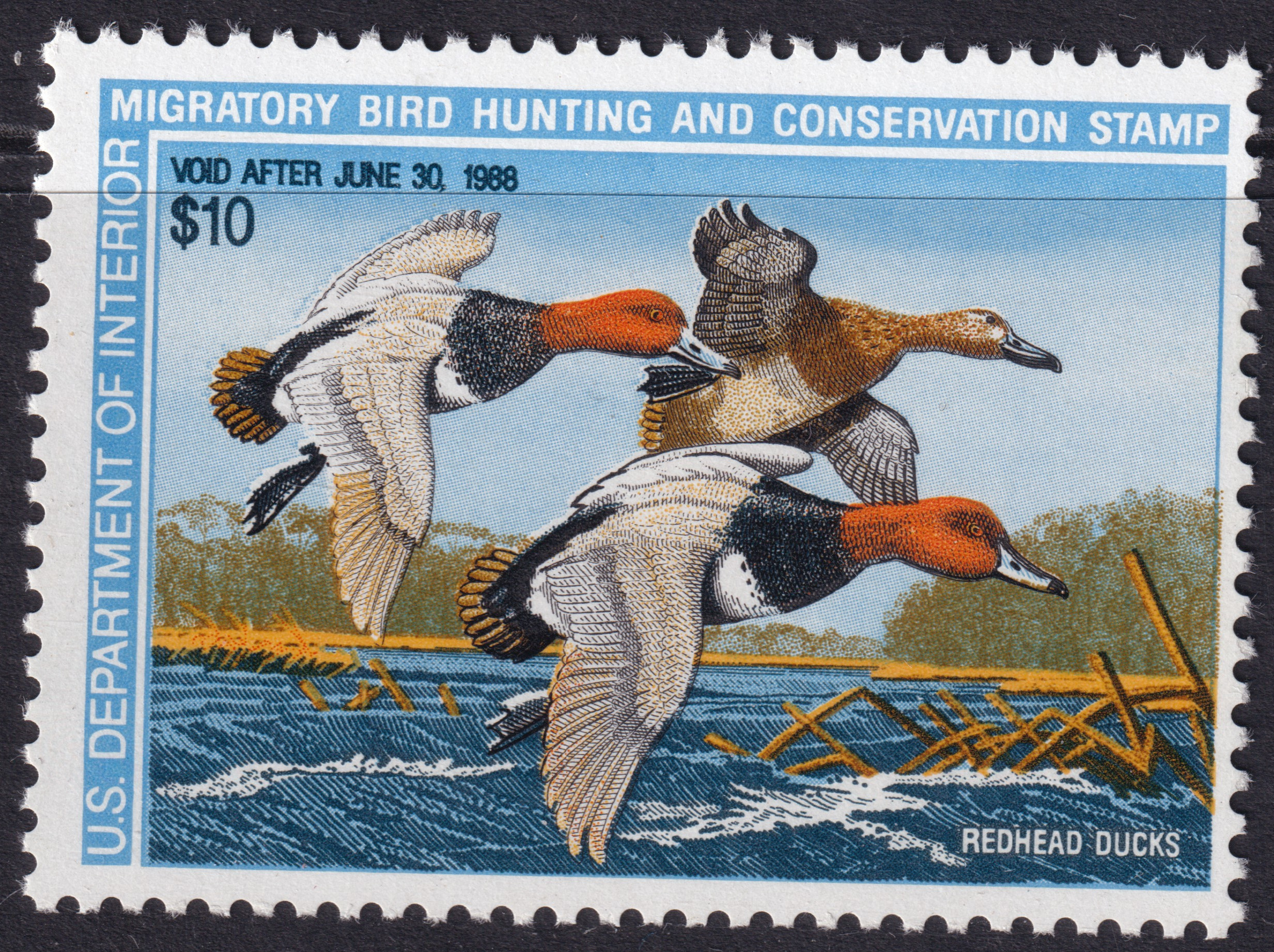 Stamp Picture