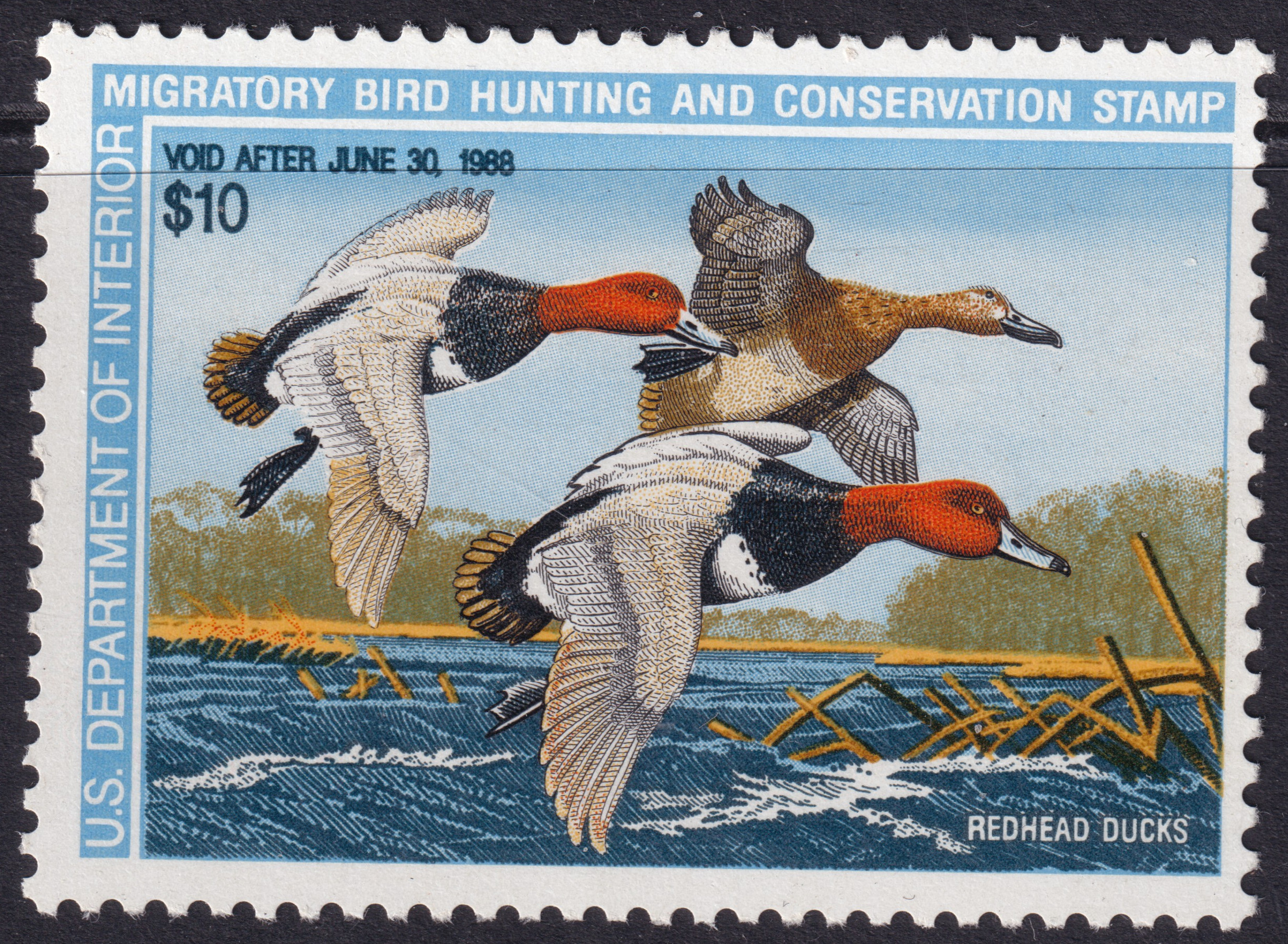 Stamp Picture