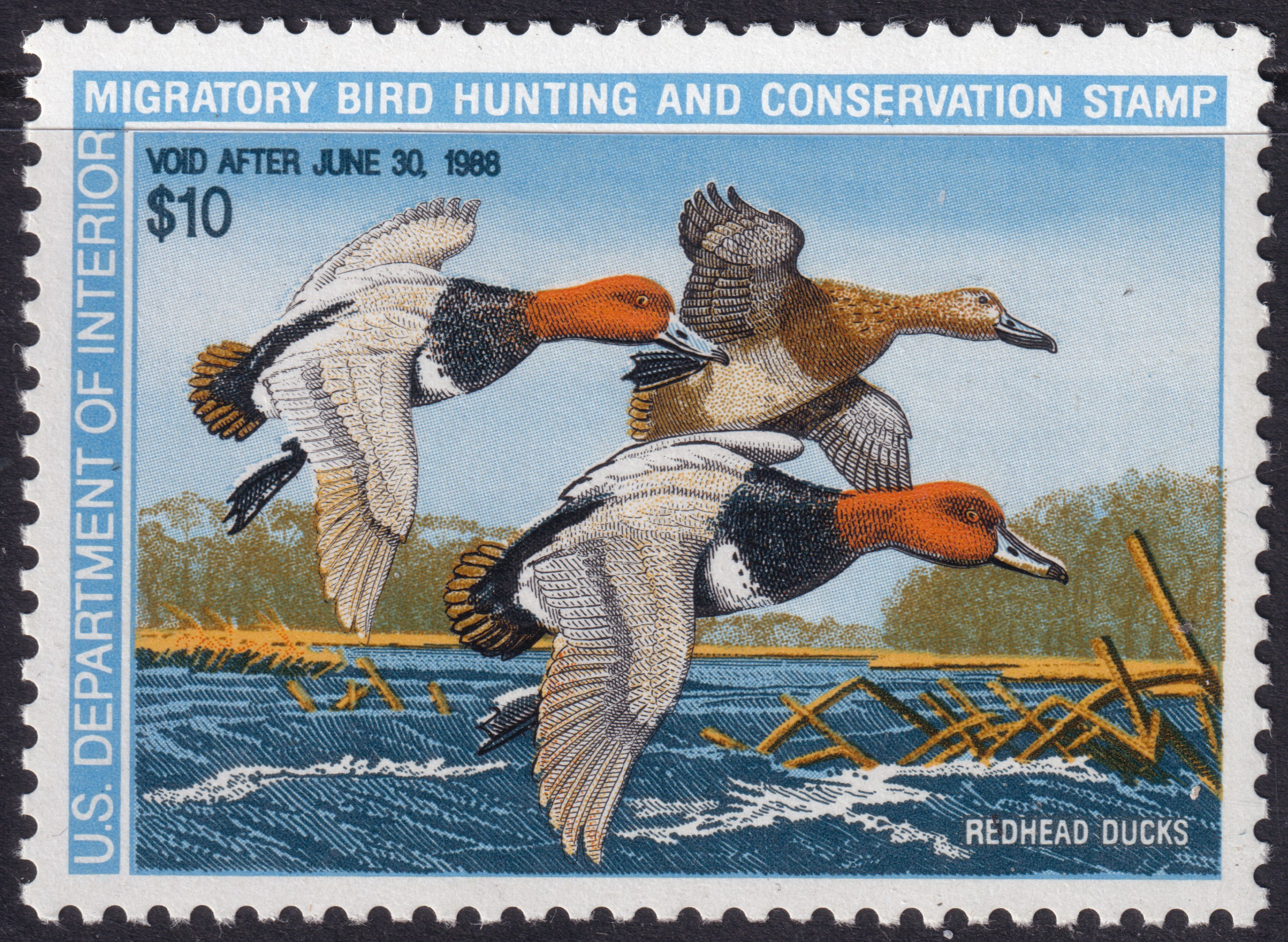 Stamp Picture