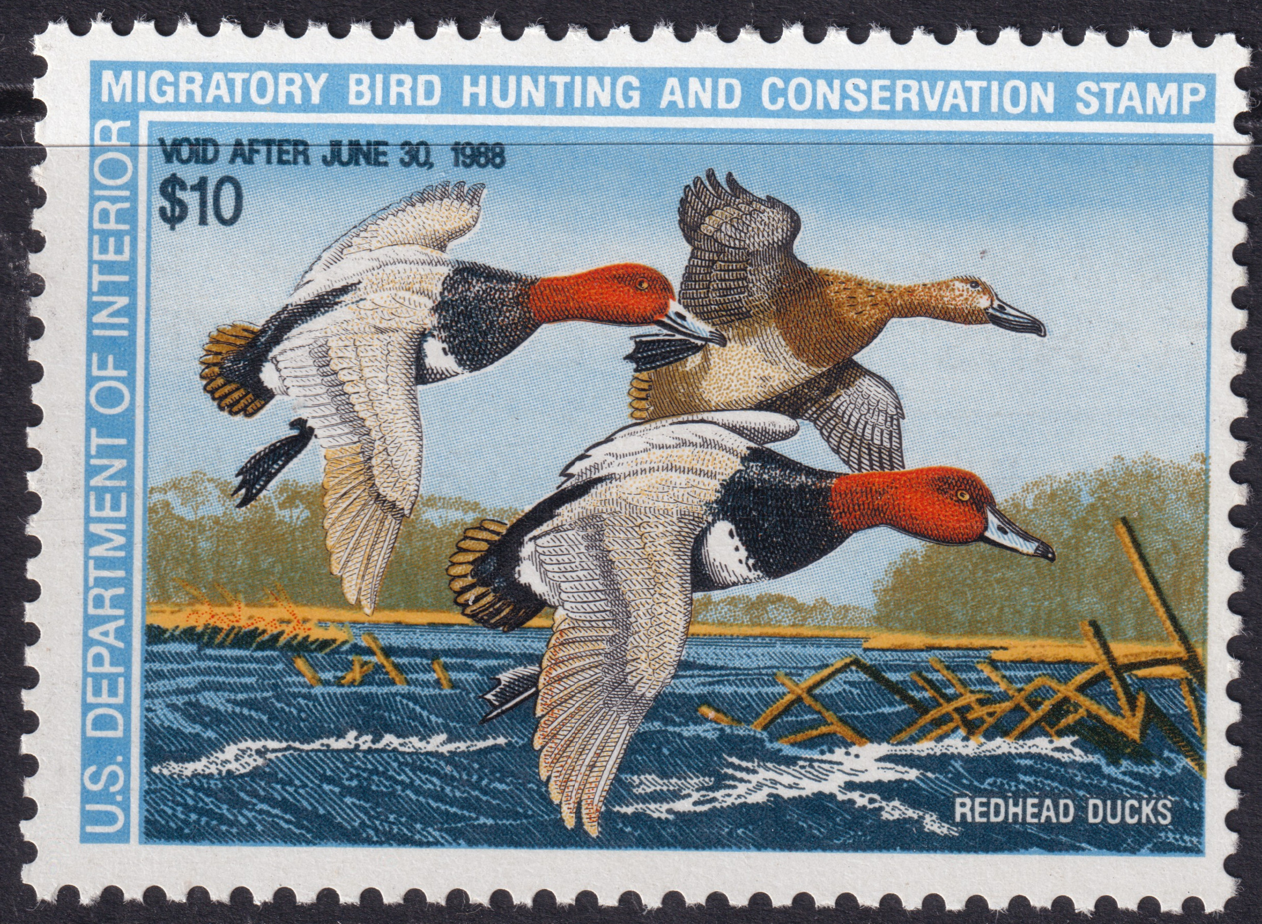Stamp Picture