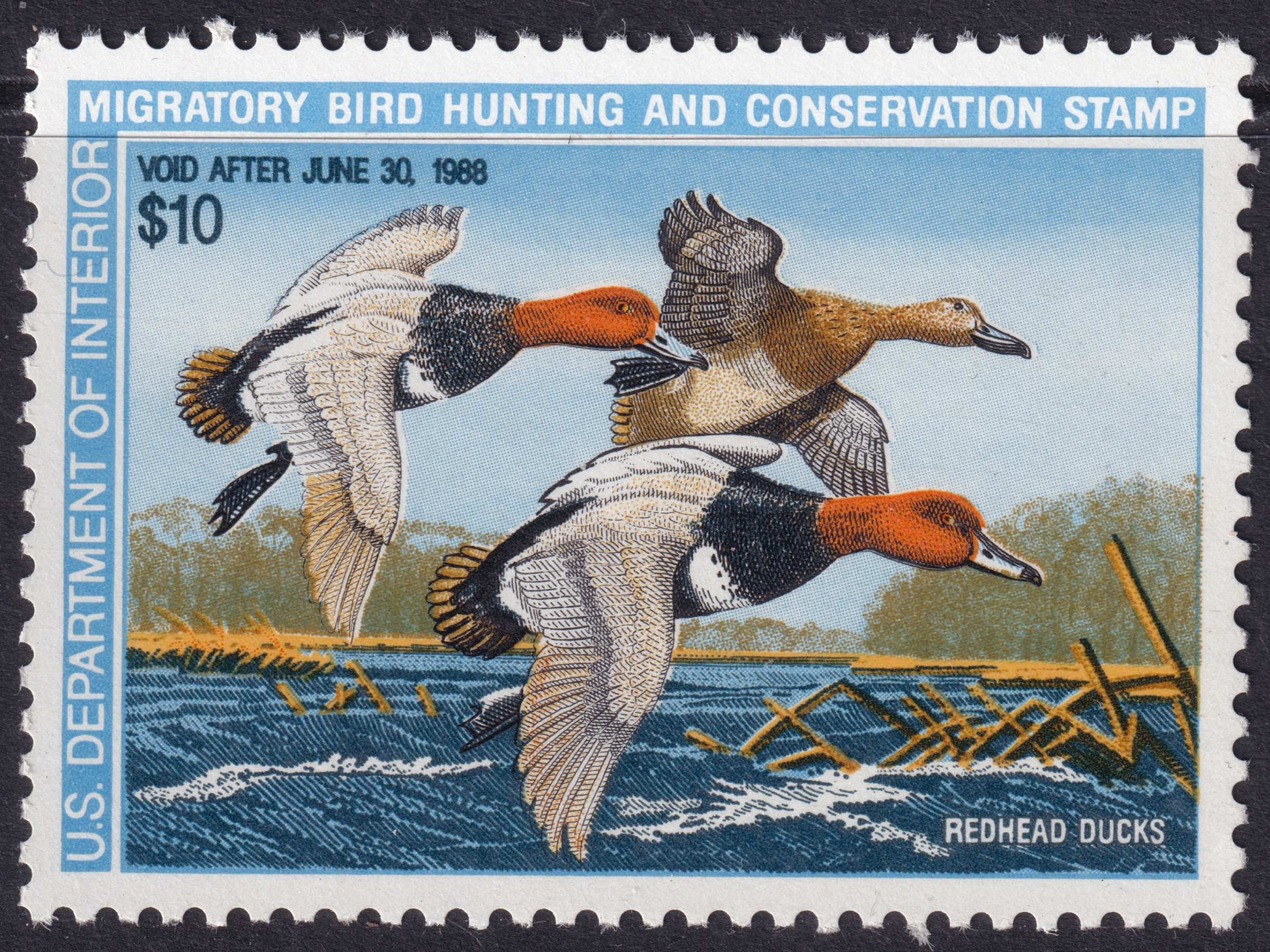 Stamp Picture