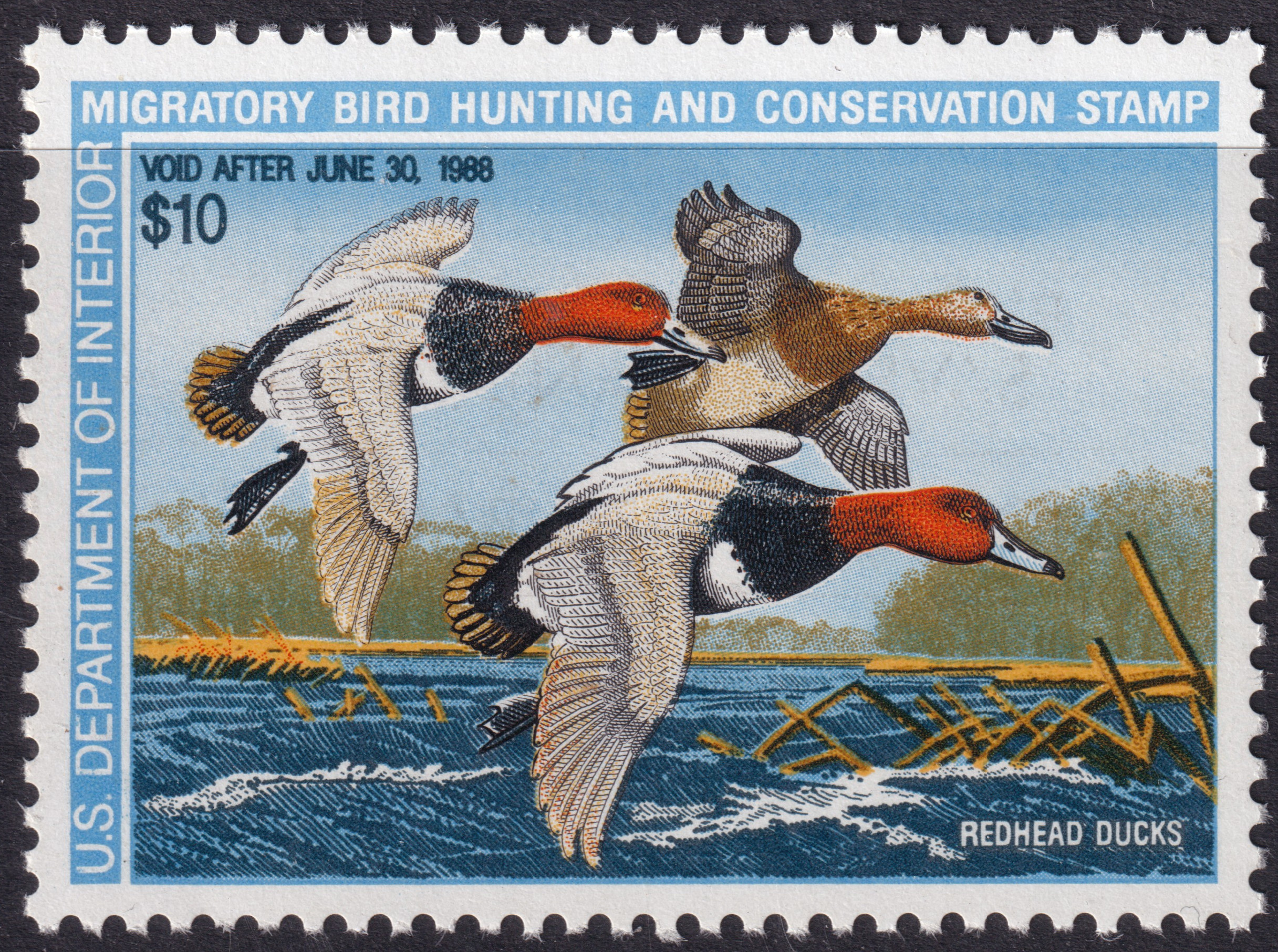 Stamp Picture