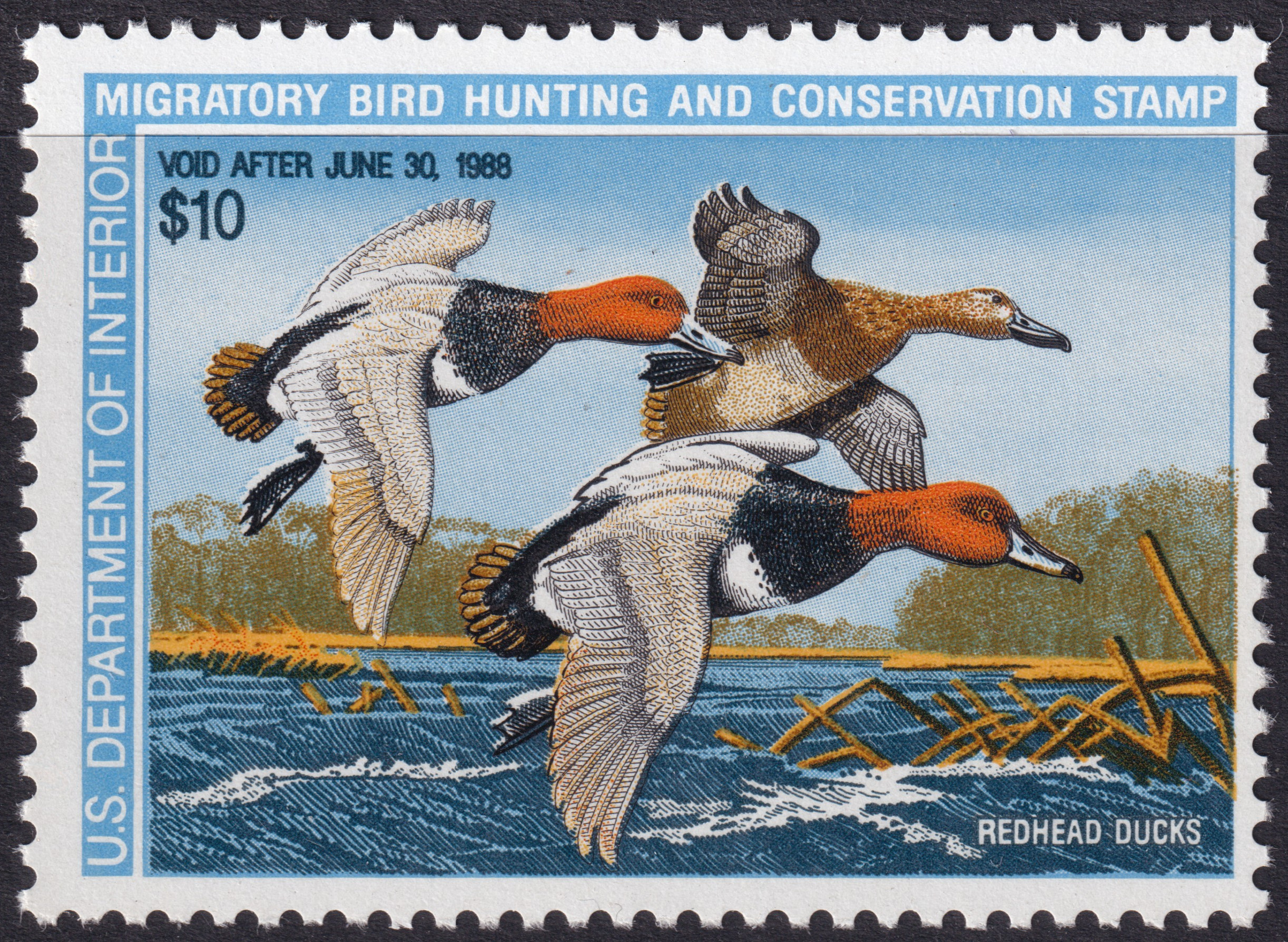 Stamp Picture